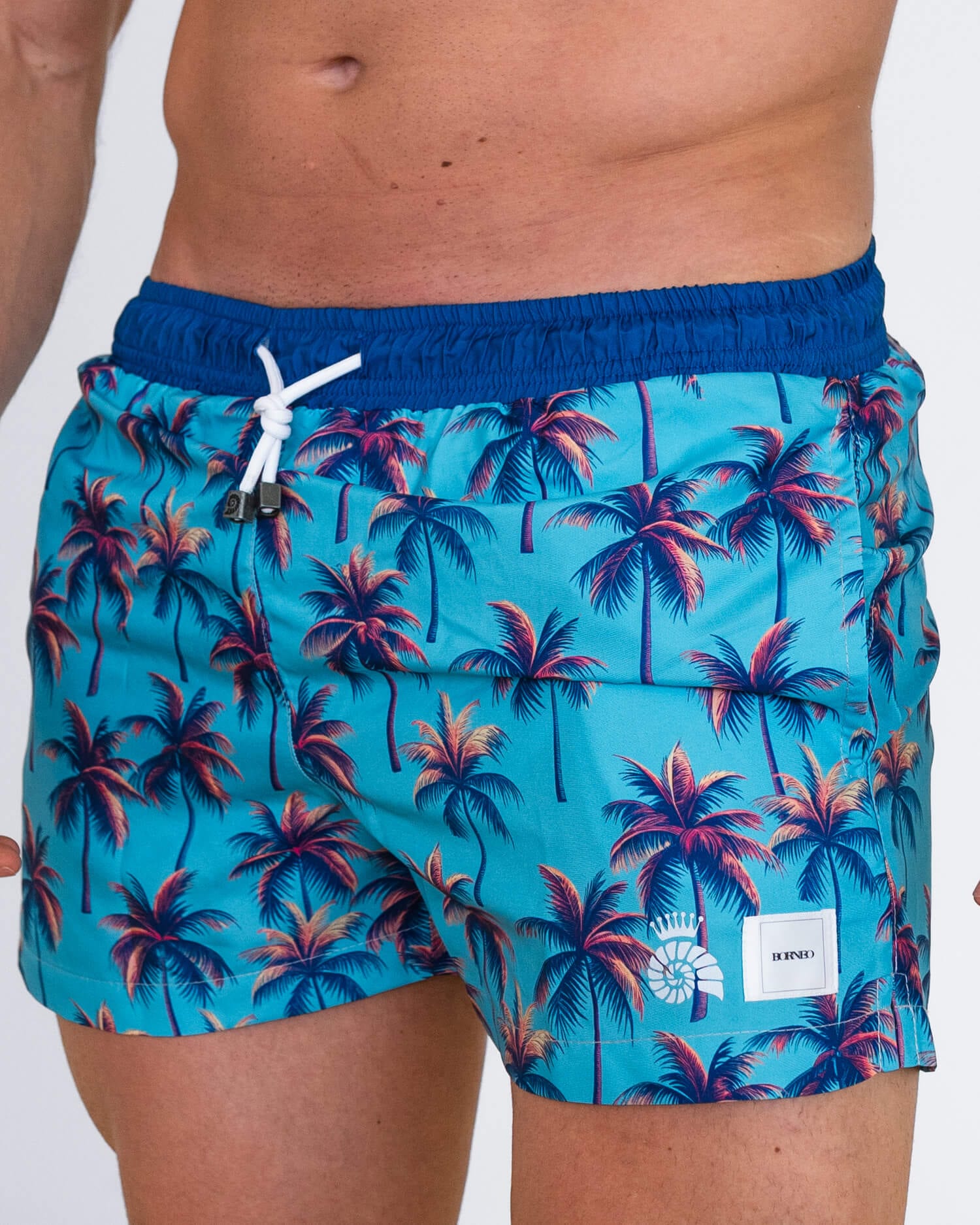 Short Palm Tree - imagen 2