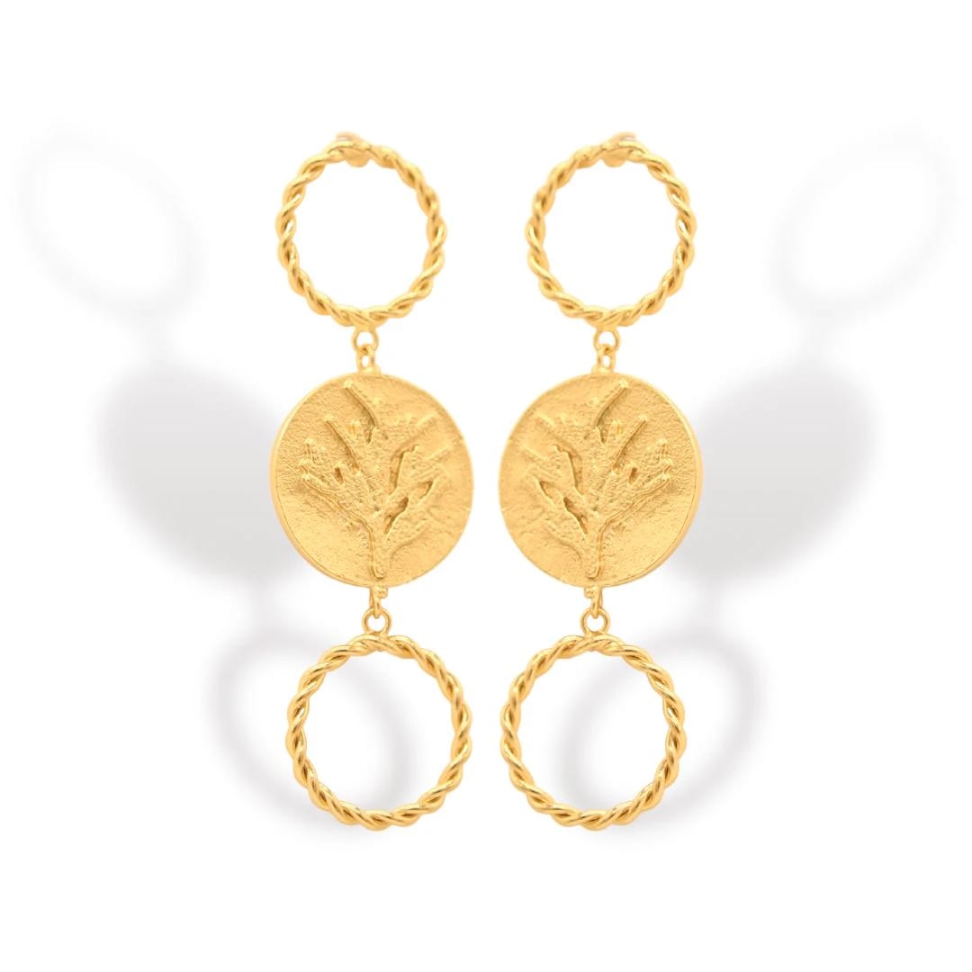 Aretes de coníferas y aros - imagen 1