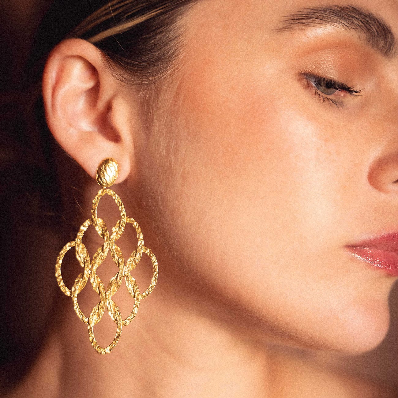 ARETES CROPS CIRCLE CHANDELIER - imagen 2