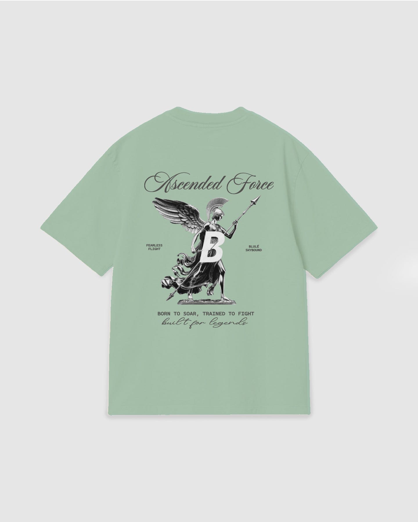 Oversized T Shirt Ascended Force Light Green - imagen 1