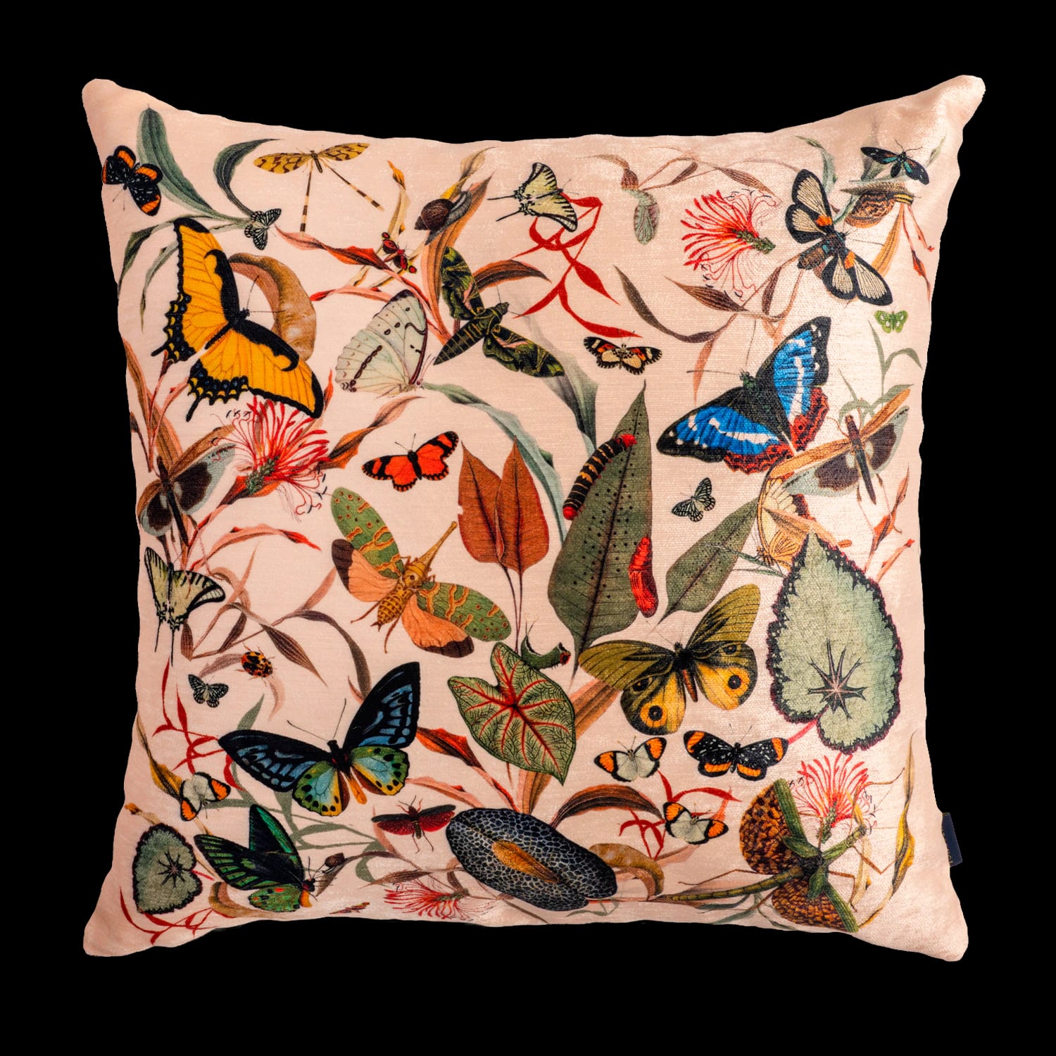 Cojin - Butterfly Ivory - imagen 1
