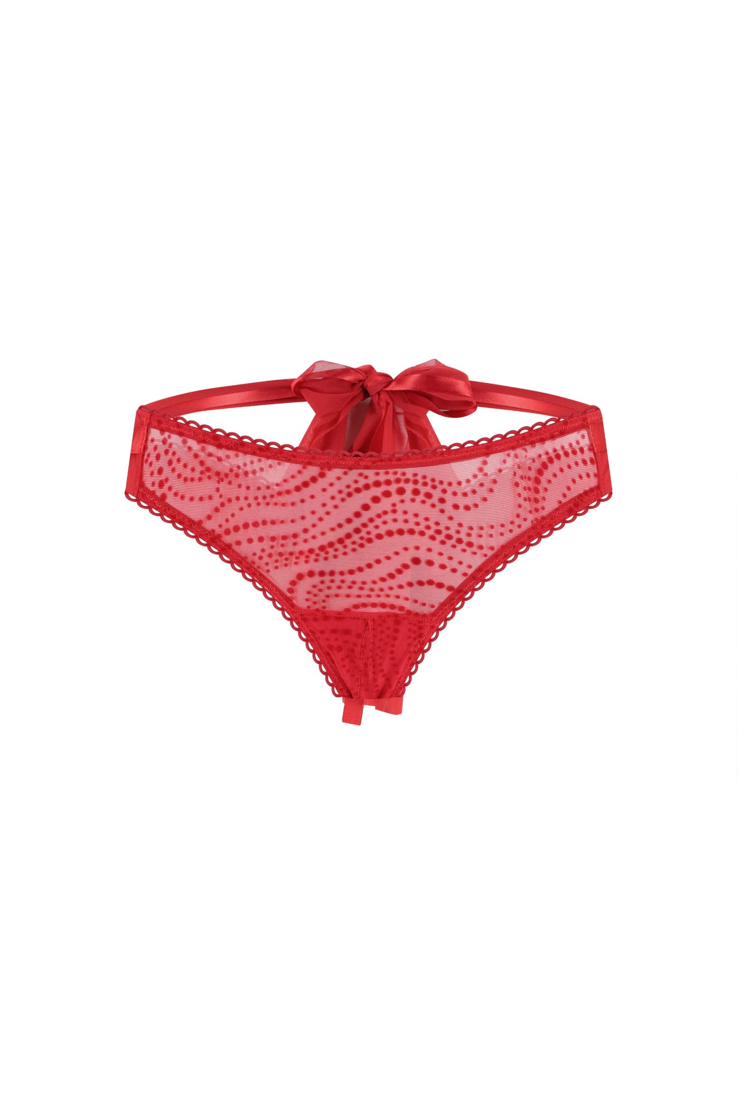 SCARLET ELLIPSE ECOS ROJO - imagen 5