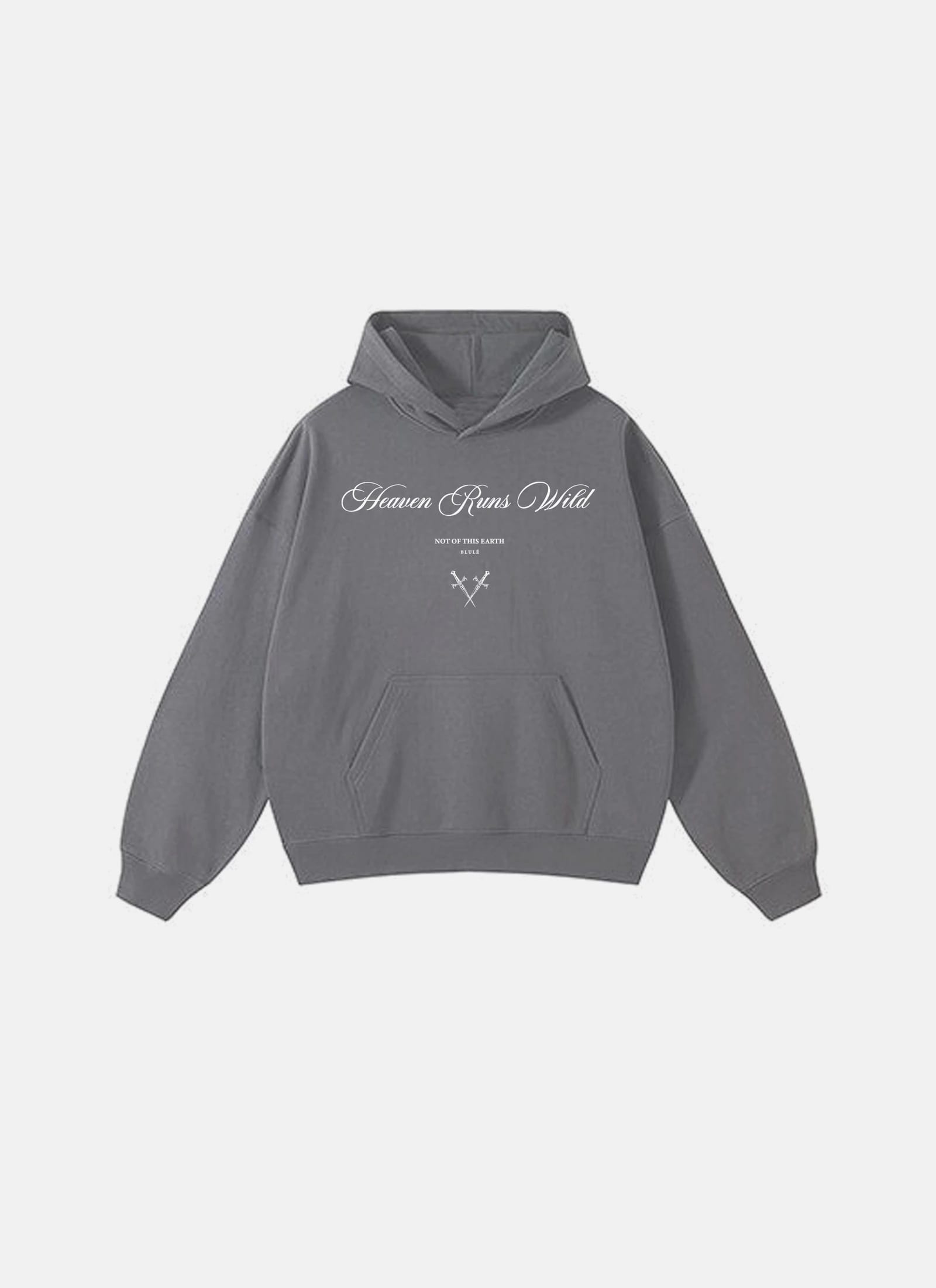 Heaven Runs Wild Hoodie Grey - imagen 1