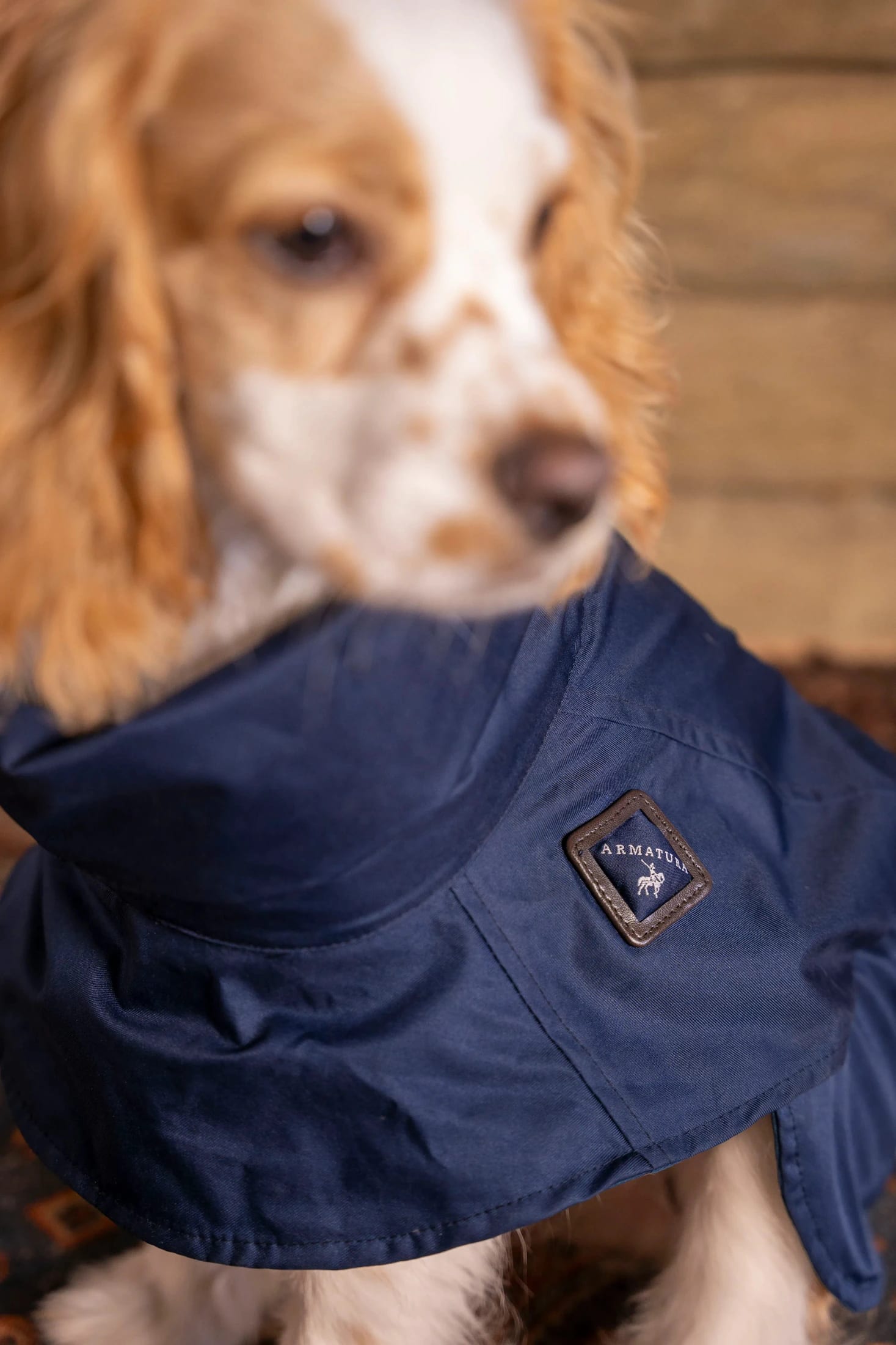 Impermeable Presidential Perro Azul Oscuro - imagen 3