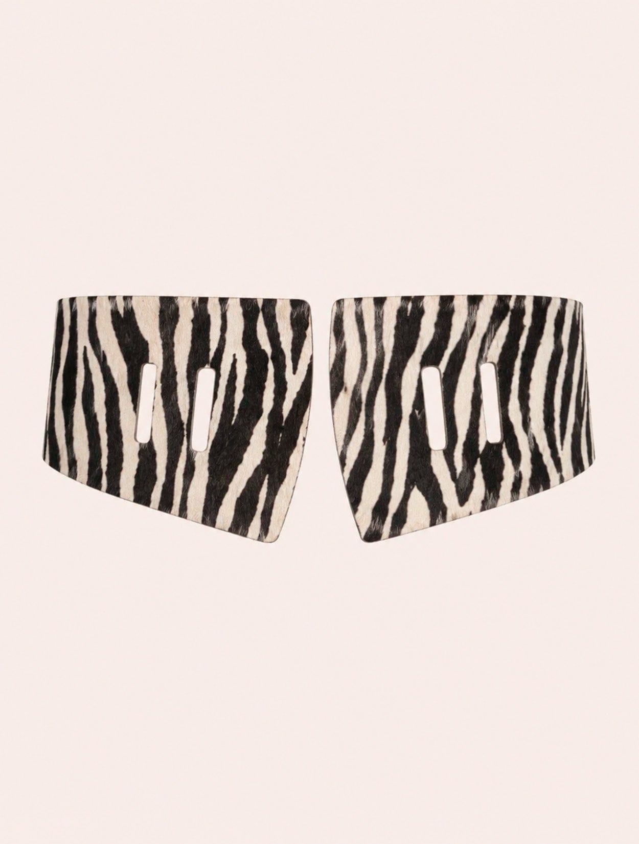 CINTURILLA ZEBRAKENTIA - imagen 1