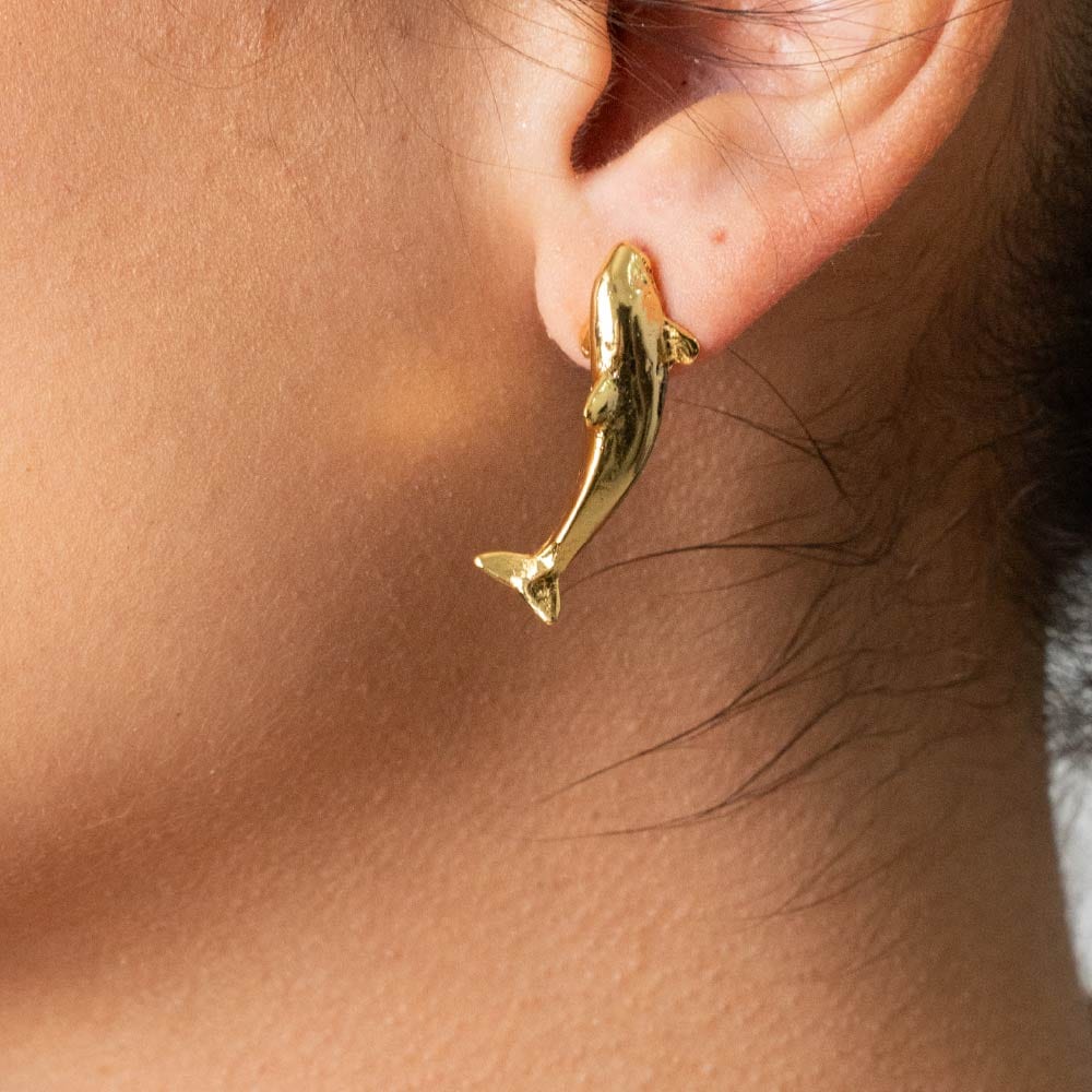 Aretes Topo Corriente - imagen 2