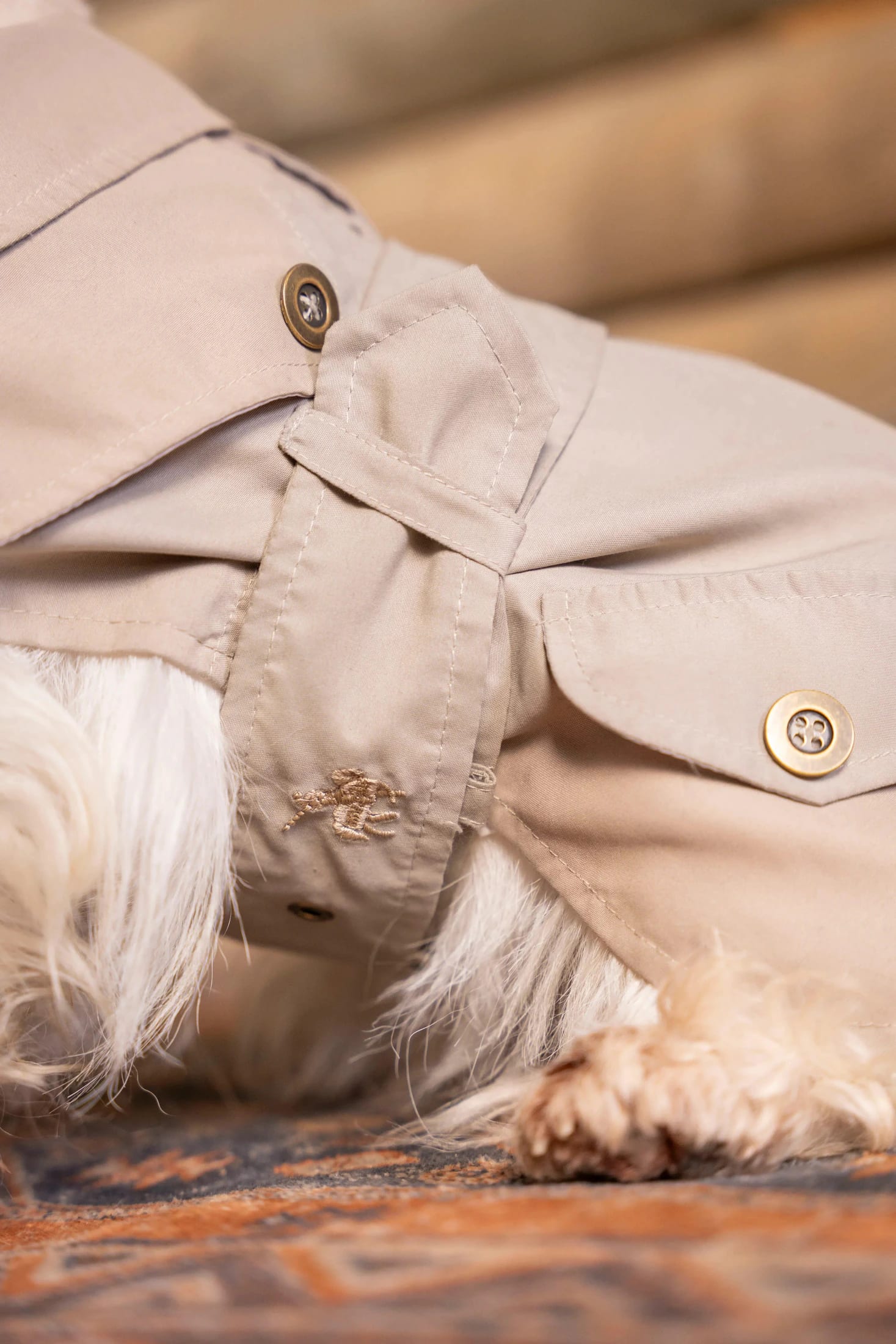Trench Perro Beige Oscuro - imagen 2