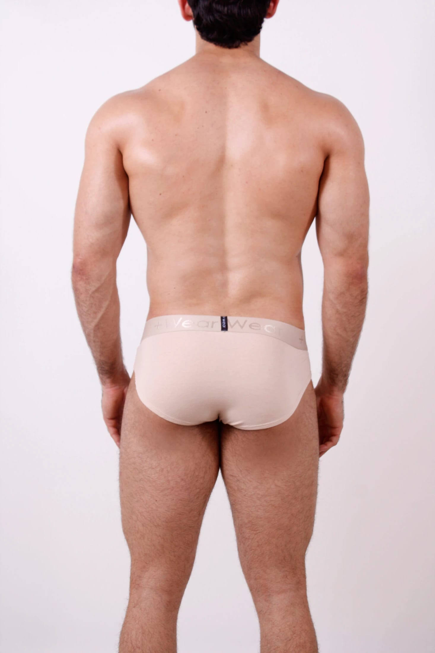 Brief Arena - imagen 8