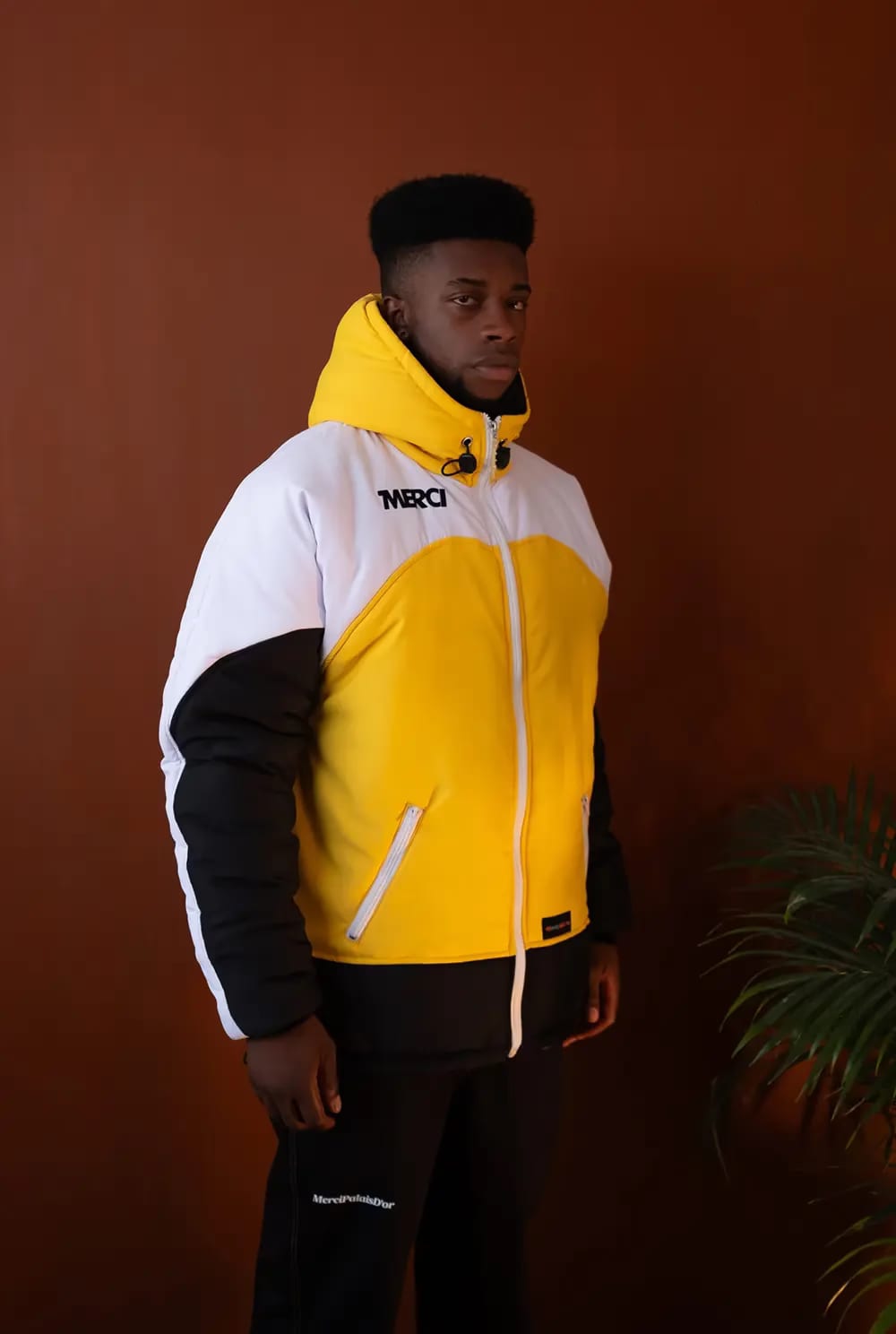Chaqueta Puffer Ferrari Dino246GT - imagen 2