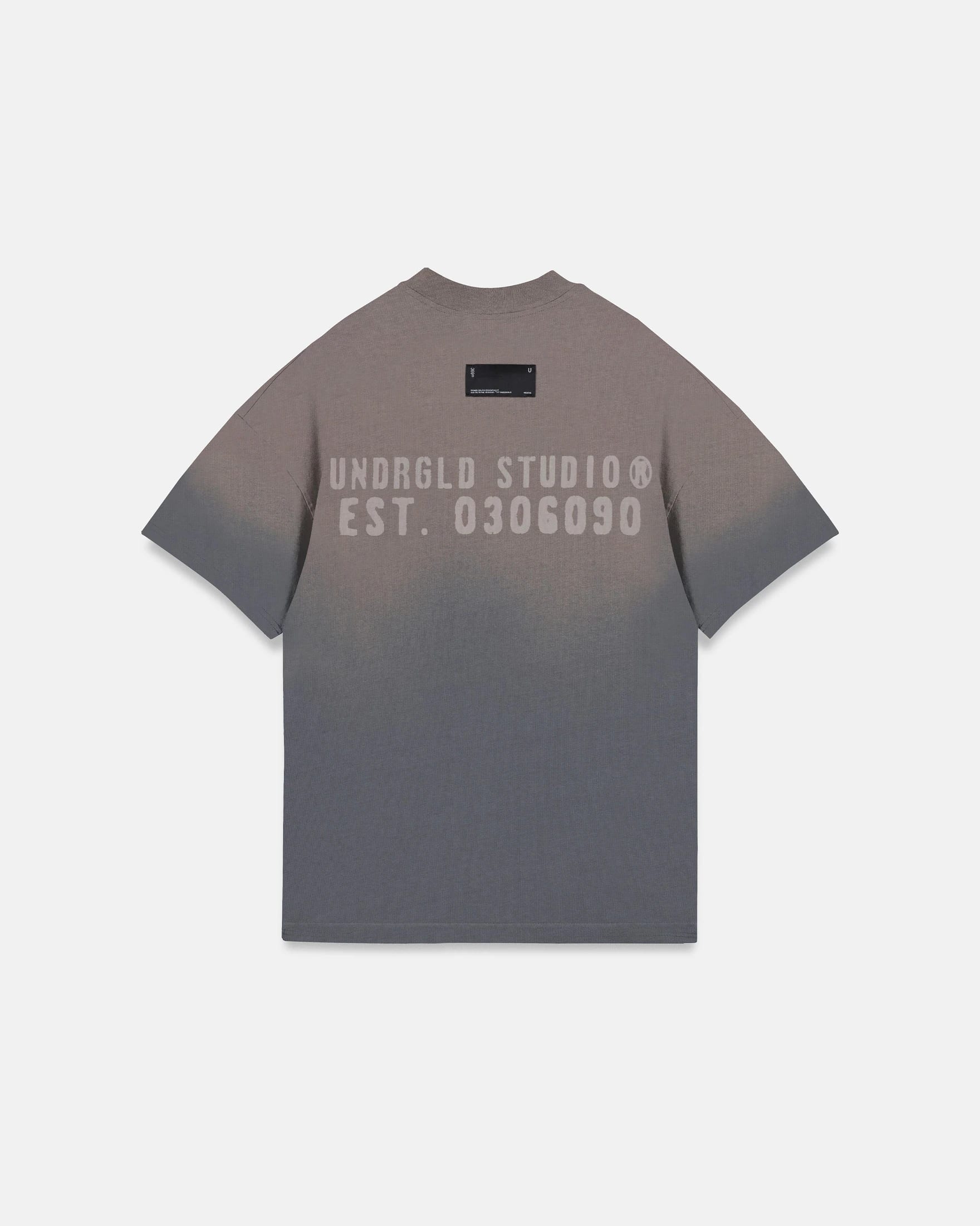 Spring Worn Logo Tshirt Sandblast Gray - imagen 1