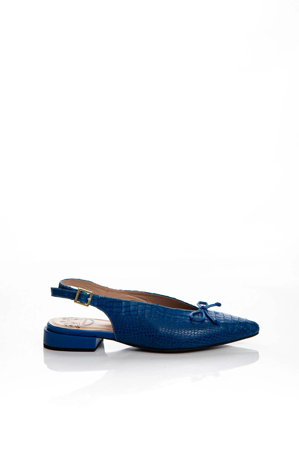 PLENA AZUL - imagen 1