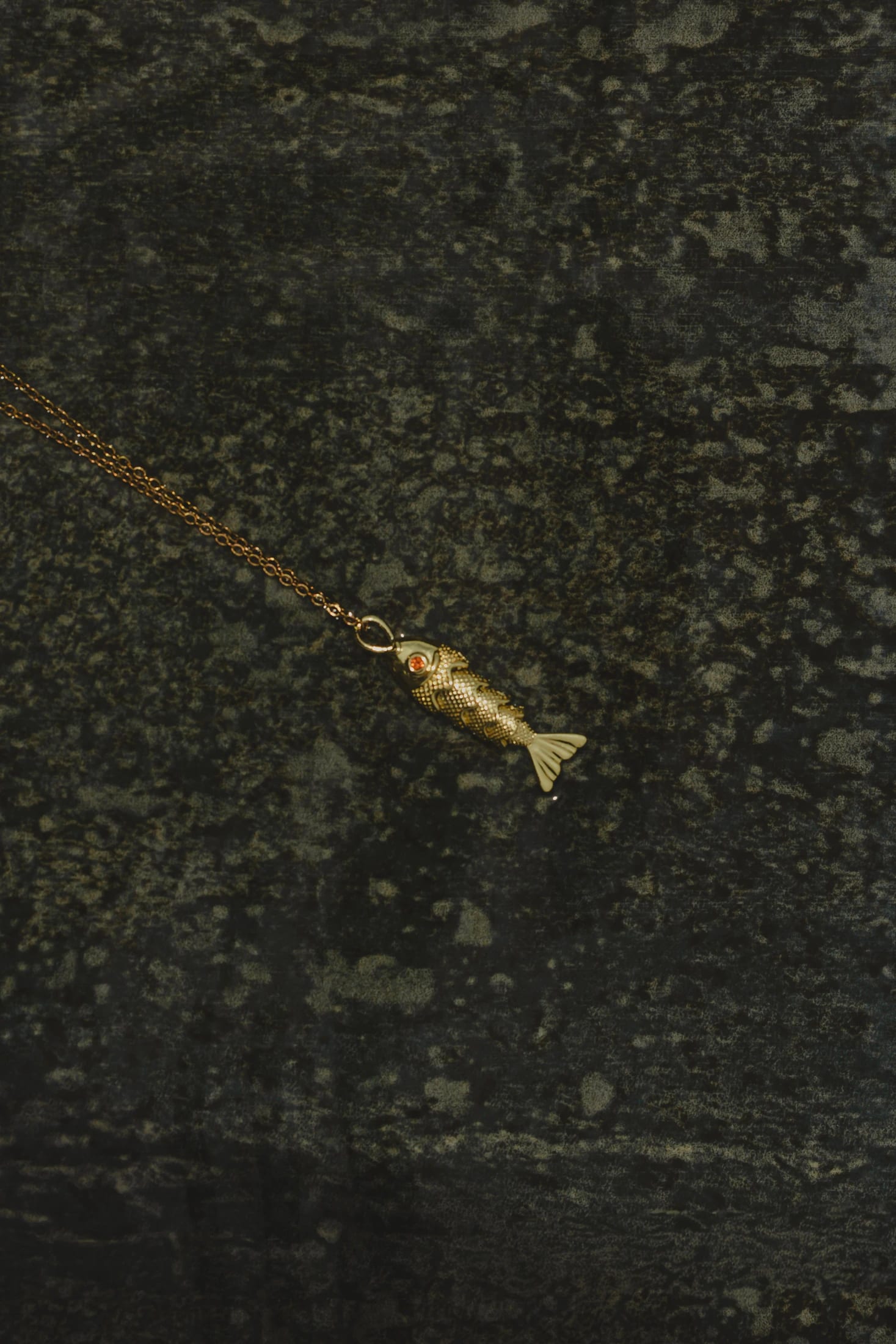 CADENA FISH - imagen 2