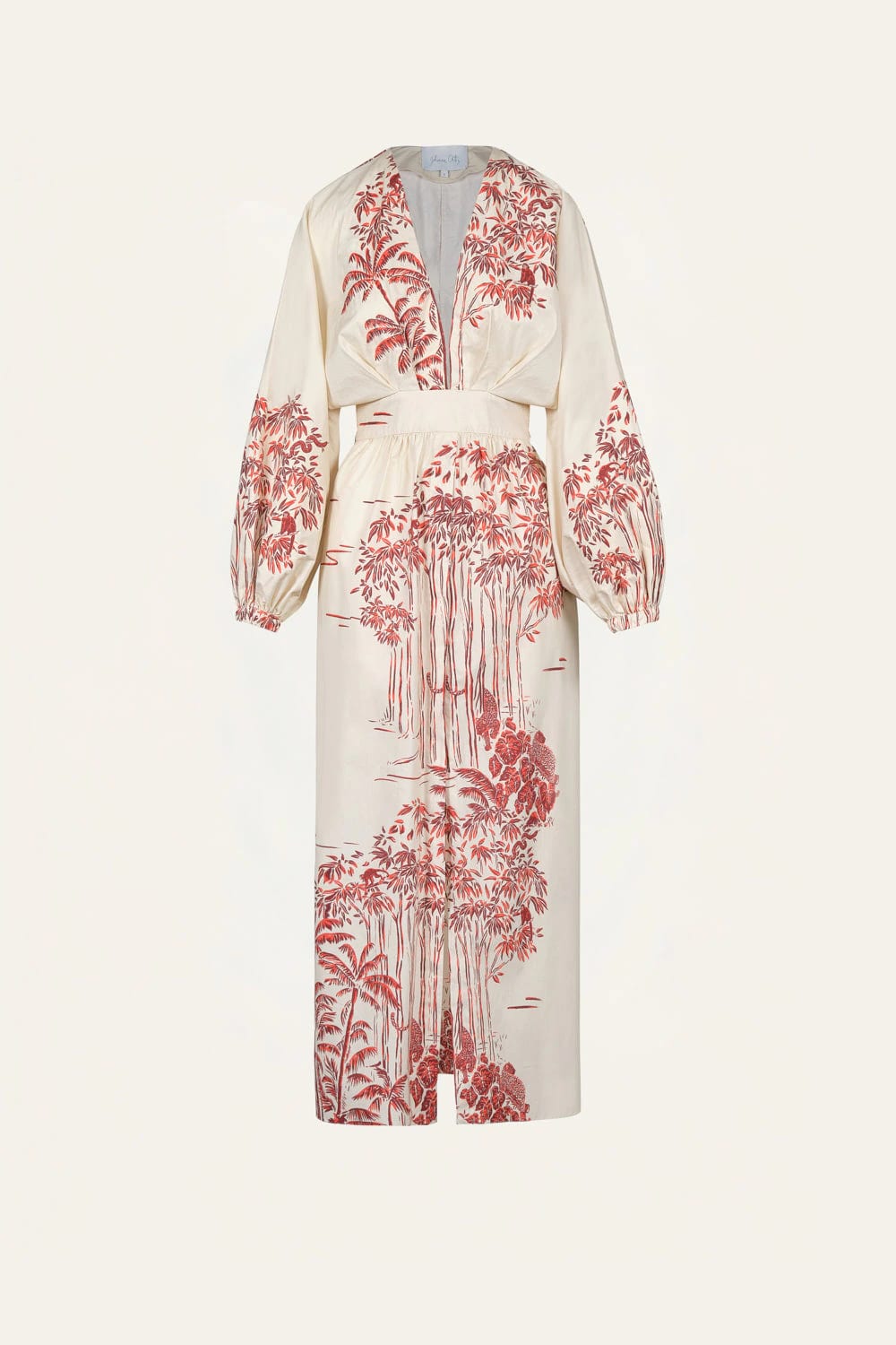 Andar Aventurero Dress - imagen 1