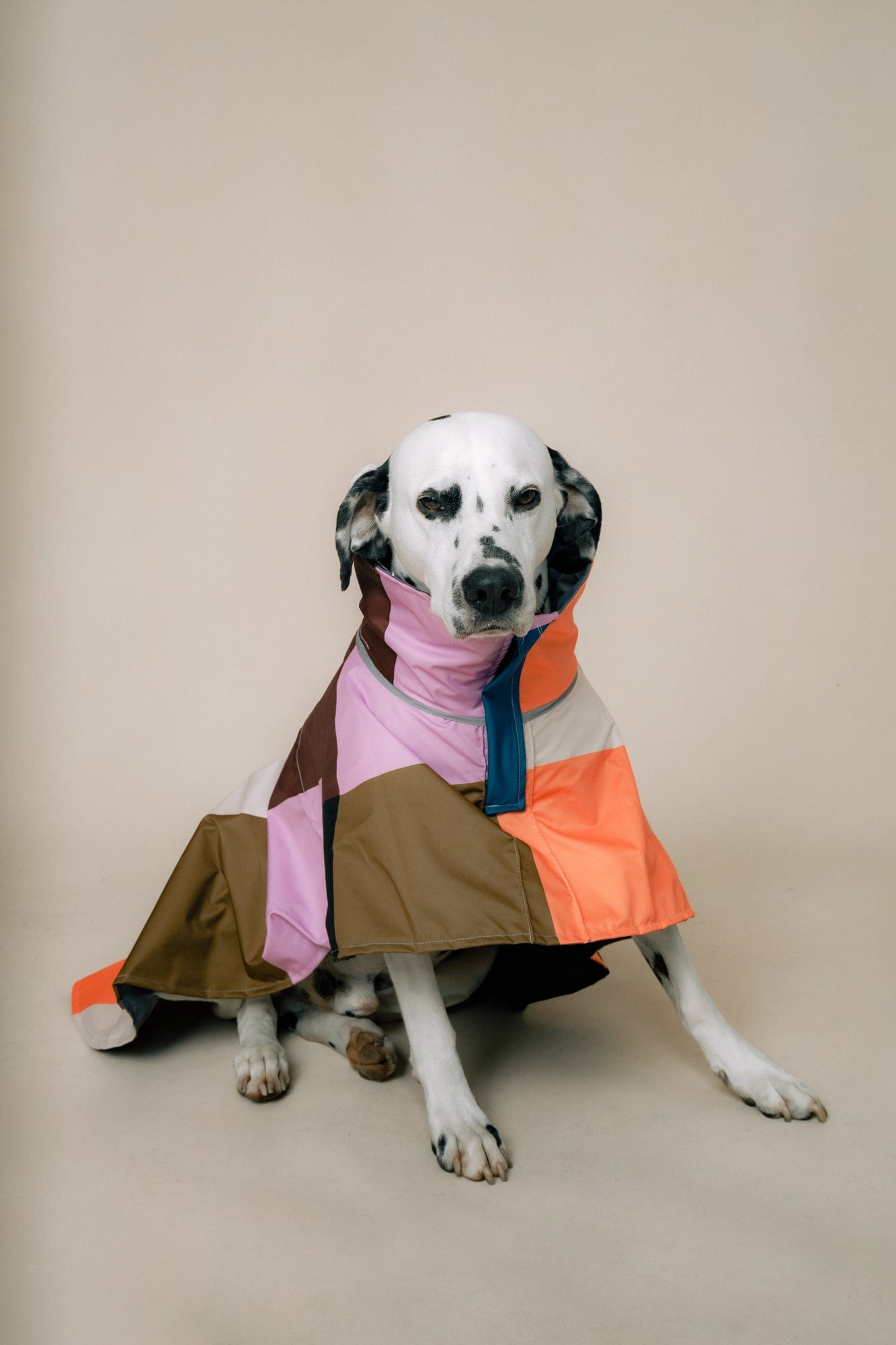 DOG´S RAINCOAT URBAN SPLASH - imagen 2