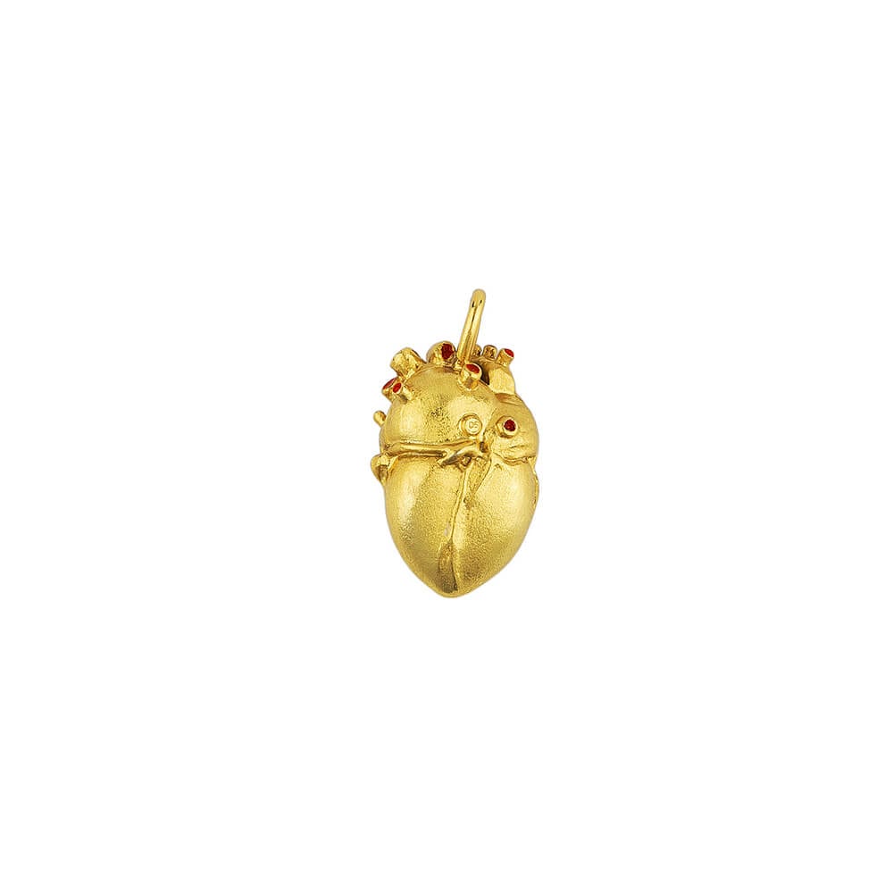 Cadena Anatomik Mini - imagen 5