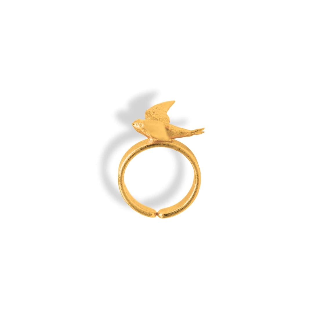 Anillo de vencejo - imagen 1