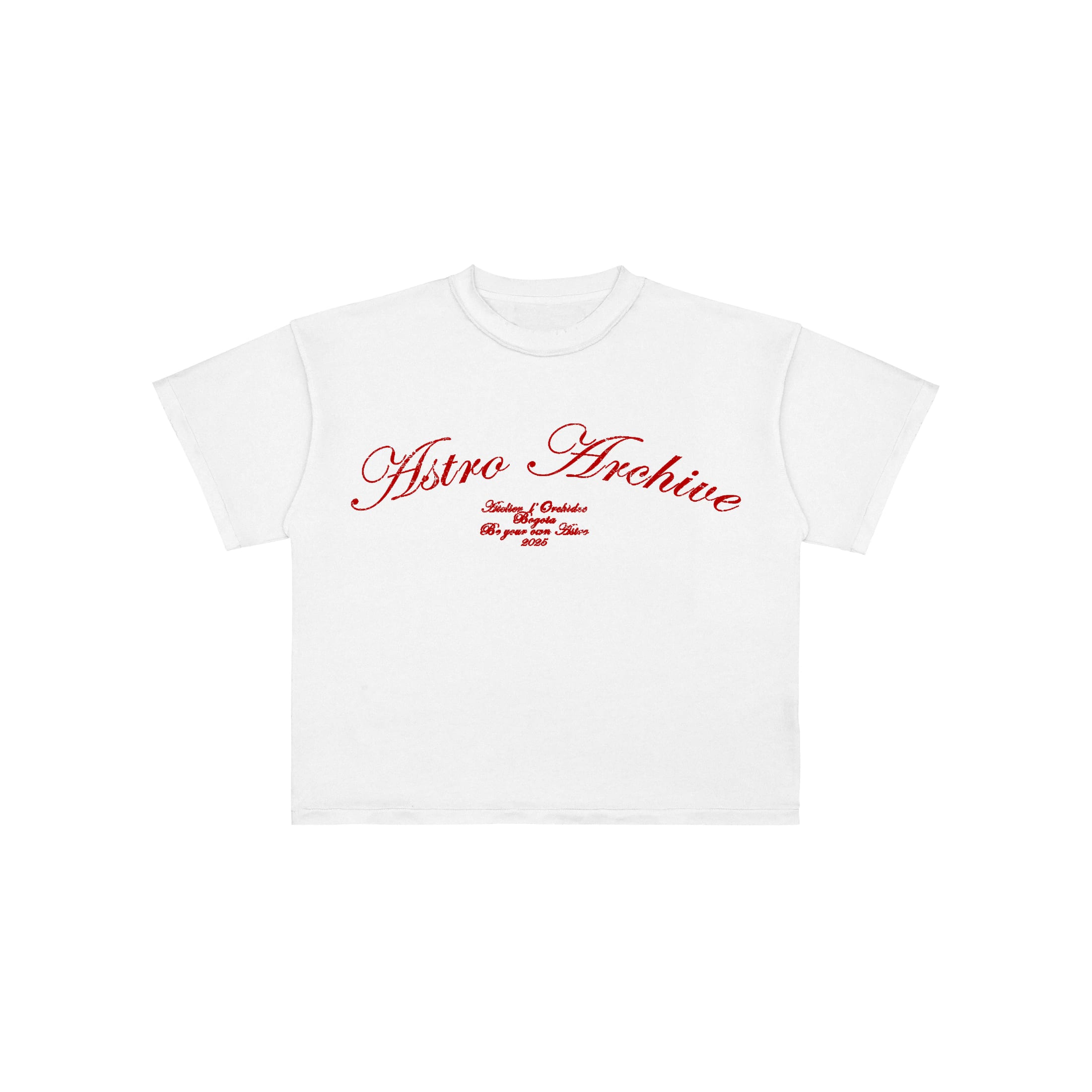 Basics V2 - Red Archive T-Shirt - imagen 1