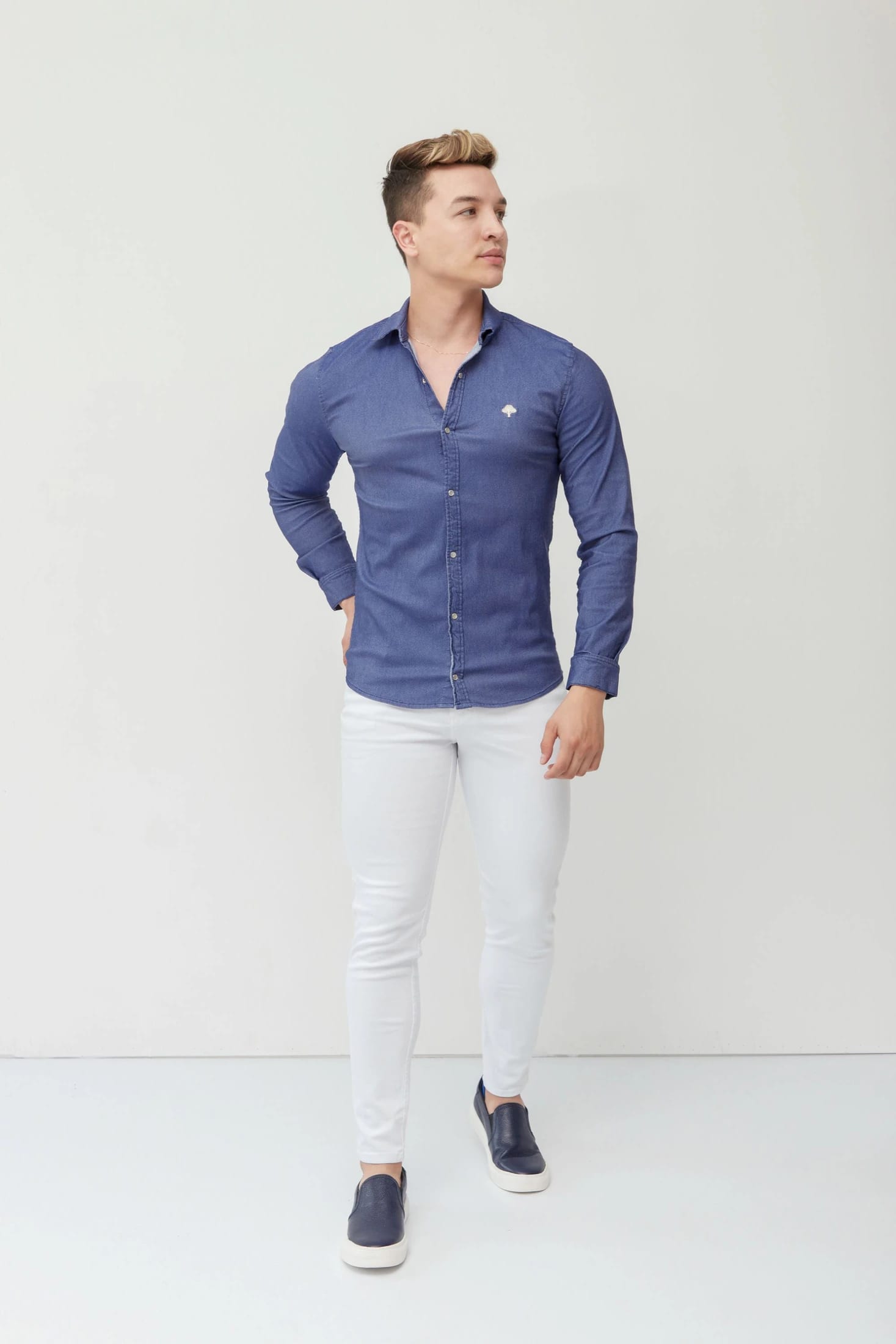 Camisa Clasica Denim - imagen 1