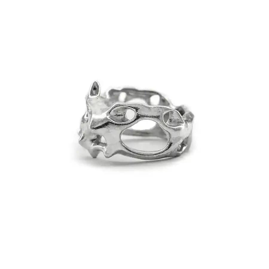 Anillo Clathrocircus - imagen 6