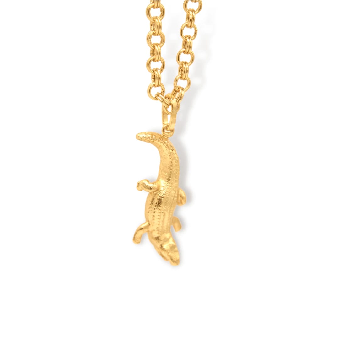 Cadena de cocodrilo - imagen 2