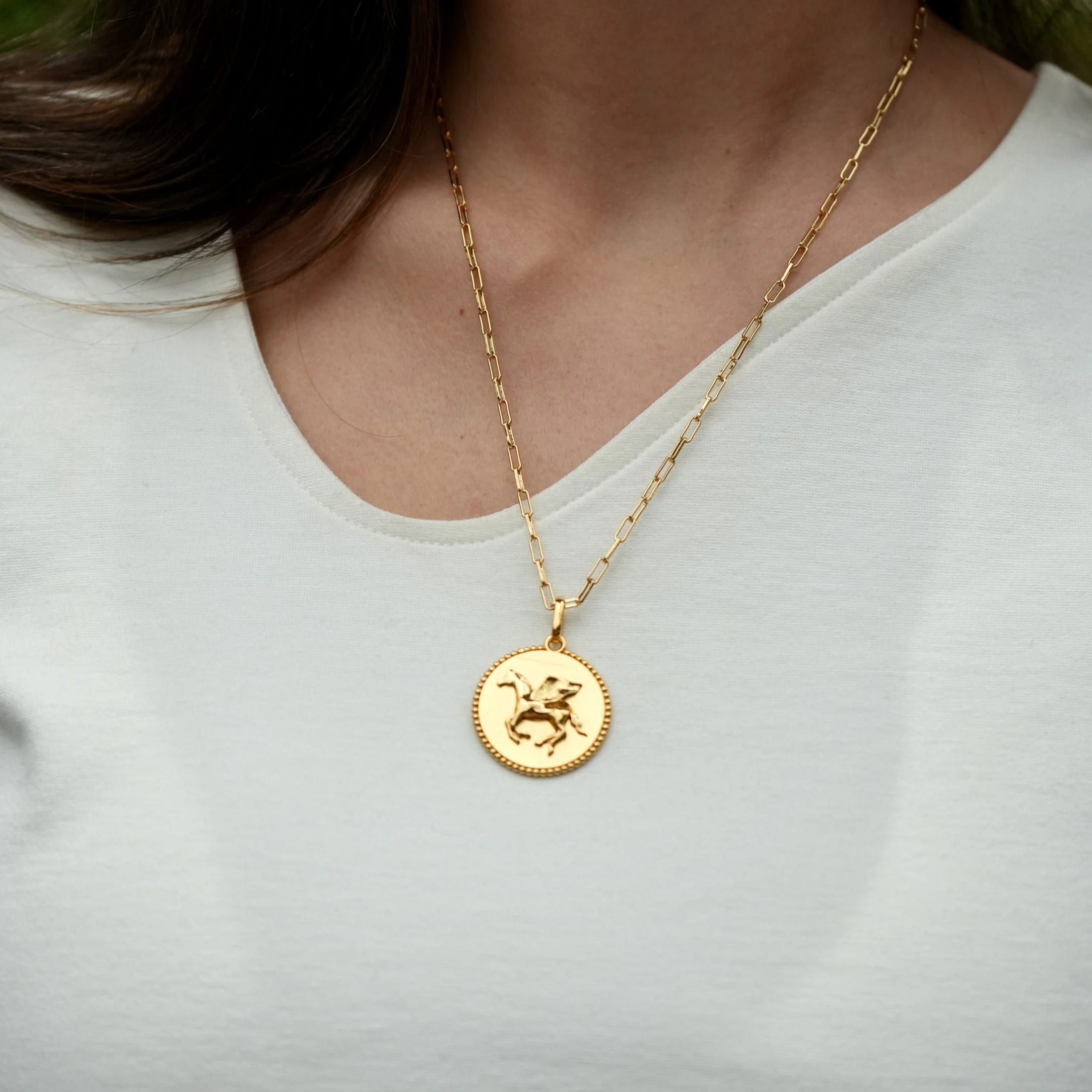 Collar Intuitive Horse - imagen 2