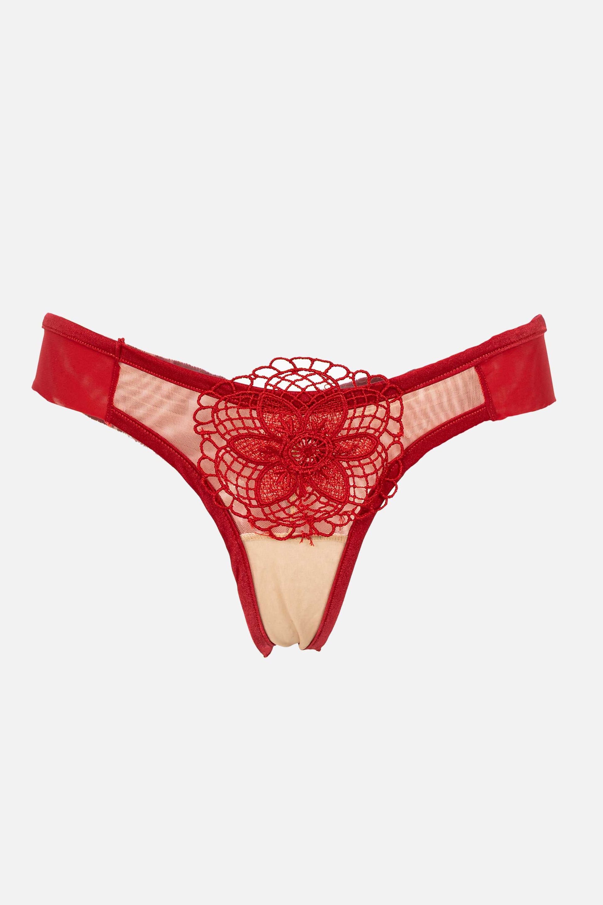 BRASILERA ELLIPSE ROJO - imagen 4