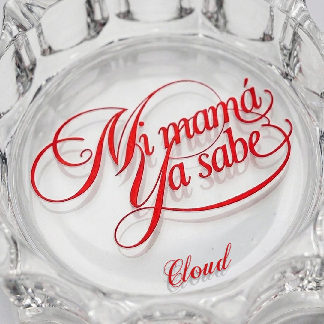Cenicero Mi mamá ya sabe - imagen 2