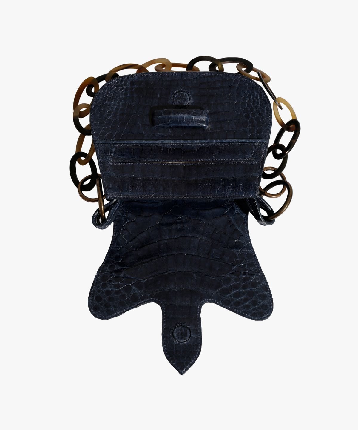Monsieur in Crocodile - imagen 4
