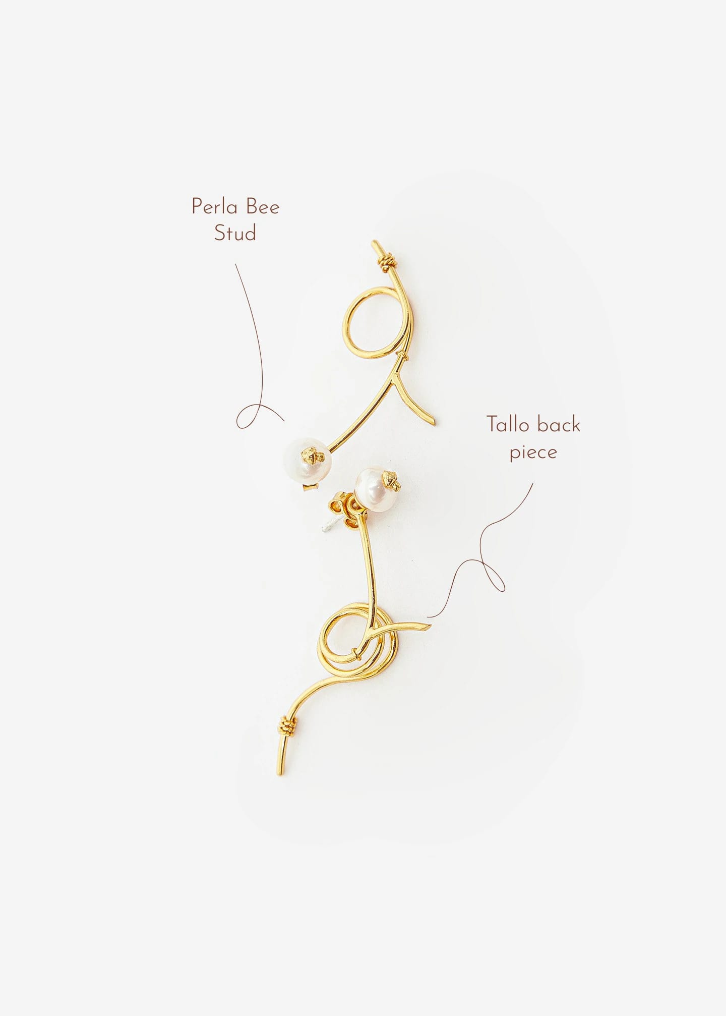 Perla Bee Stud - imagen 2