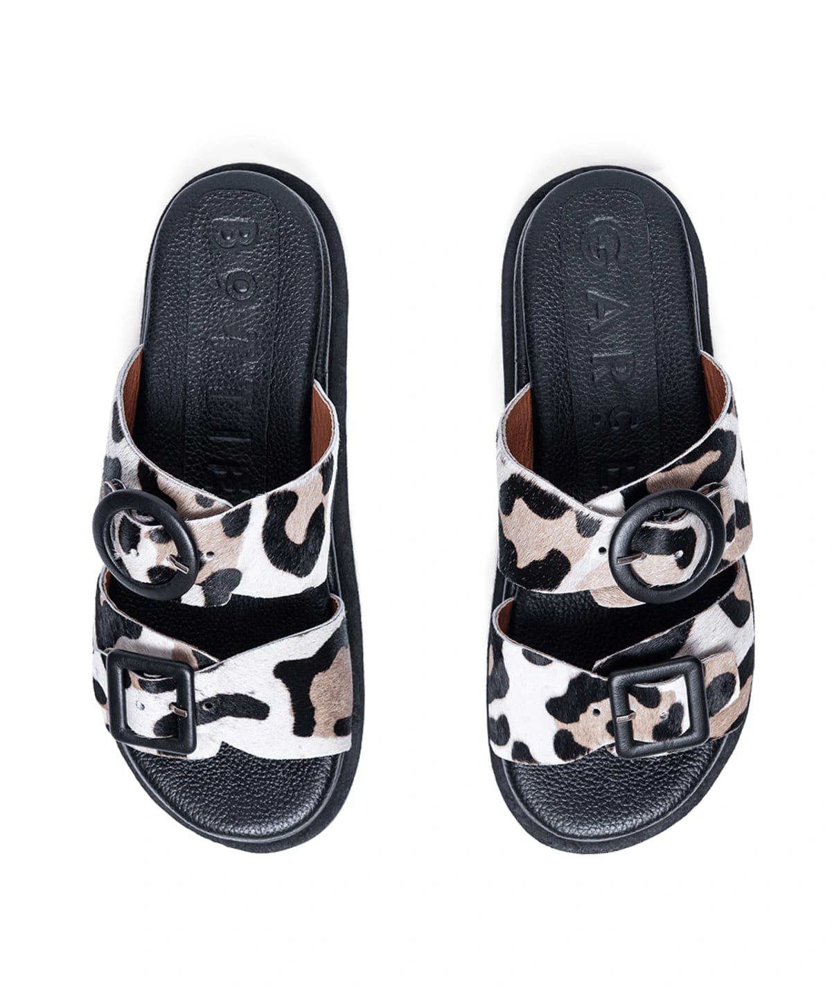 Allegra Leopardo - imagen 2