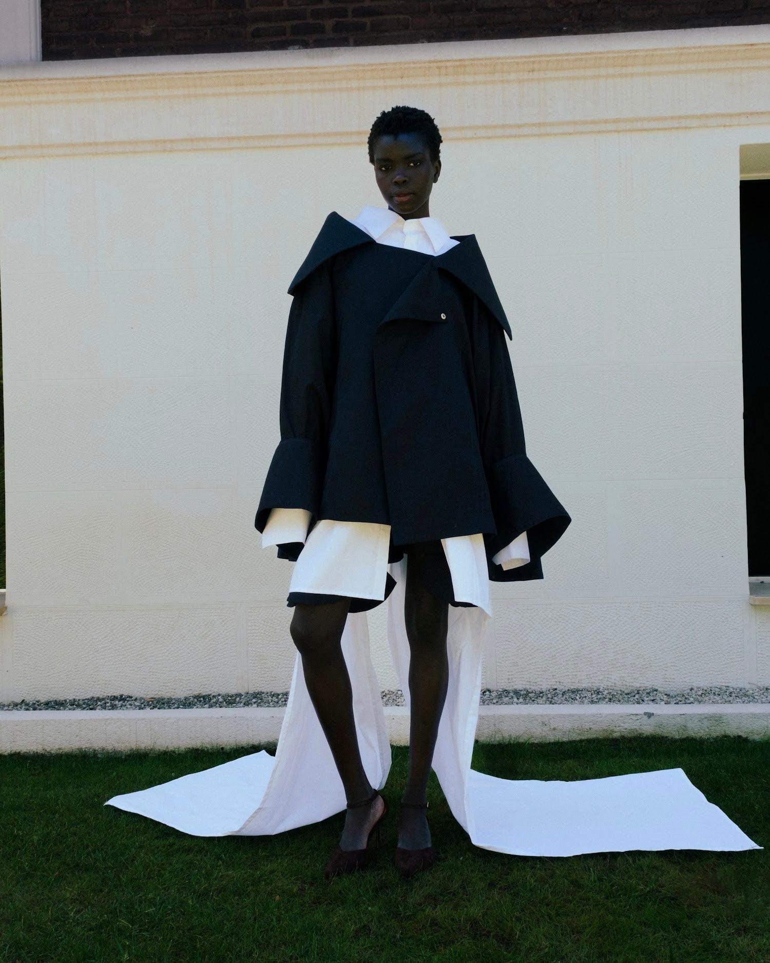 SAGO NEGRO - imagen 1