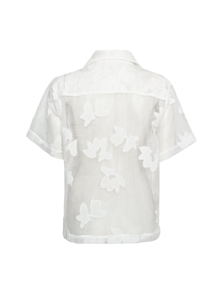 SURF BAY LENA SHIRT 9427 - imagen 3