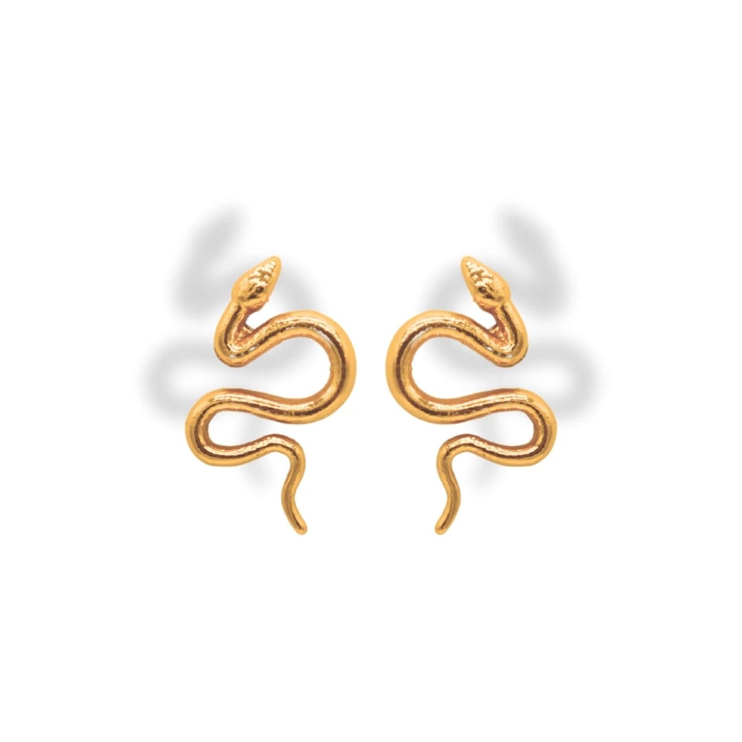 Aretes de serpiente grande - imagen 1