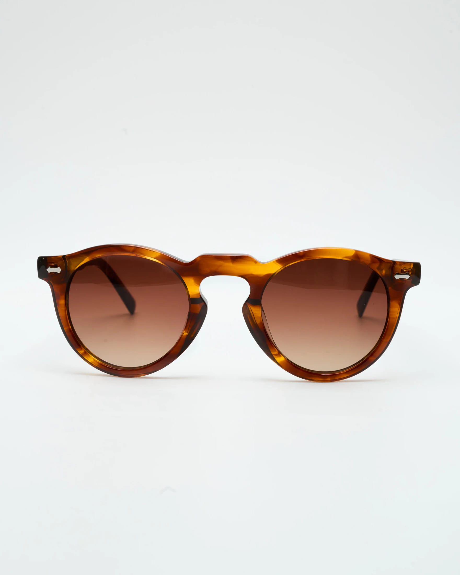 HARLEY - BROWN TORTOISE / GRADIENT BROWN - imagen 3