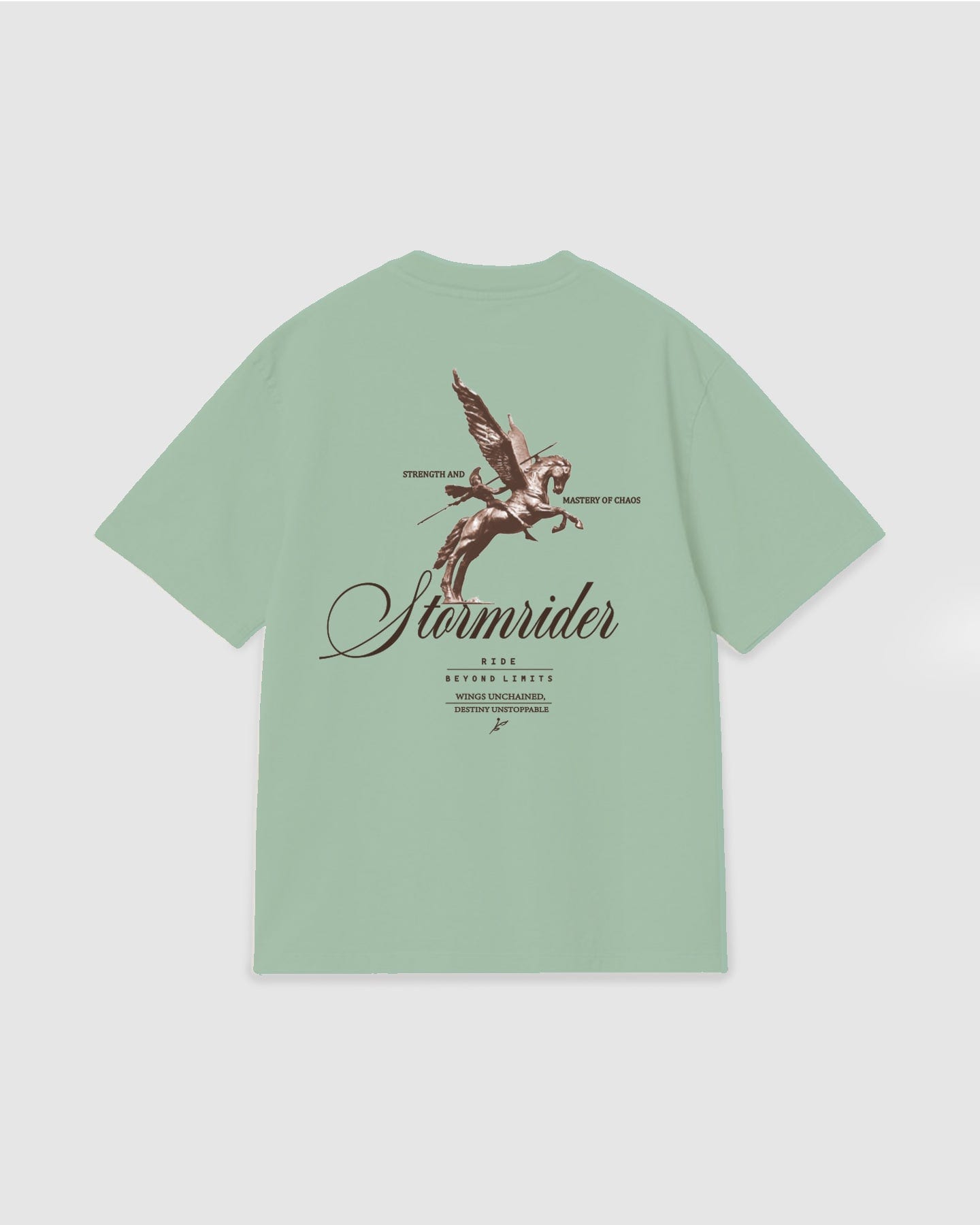 Oversized T Shirt Stormrider Light Green - imagen 1