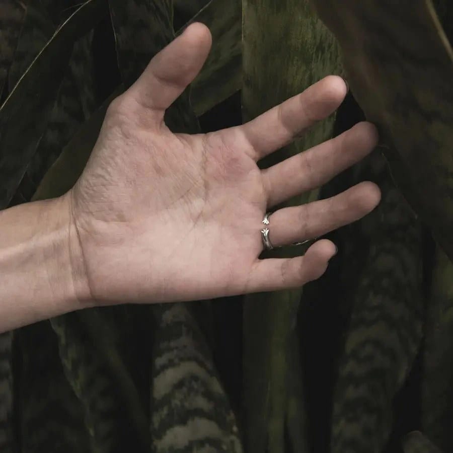 Anillo Capibara o Chigüiro - imagen 2