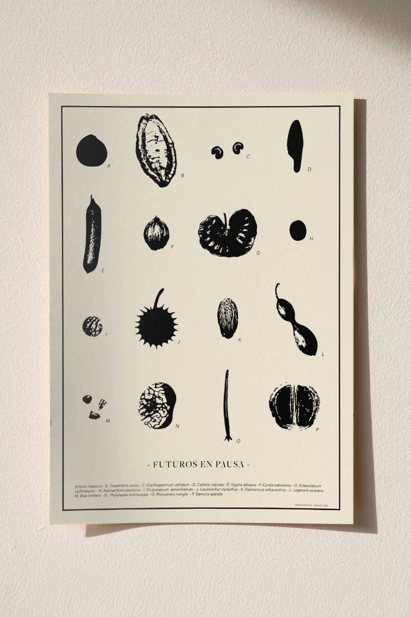 POSTER  30x40 -  FUTUROS EN PAUSA - imagen 2