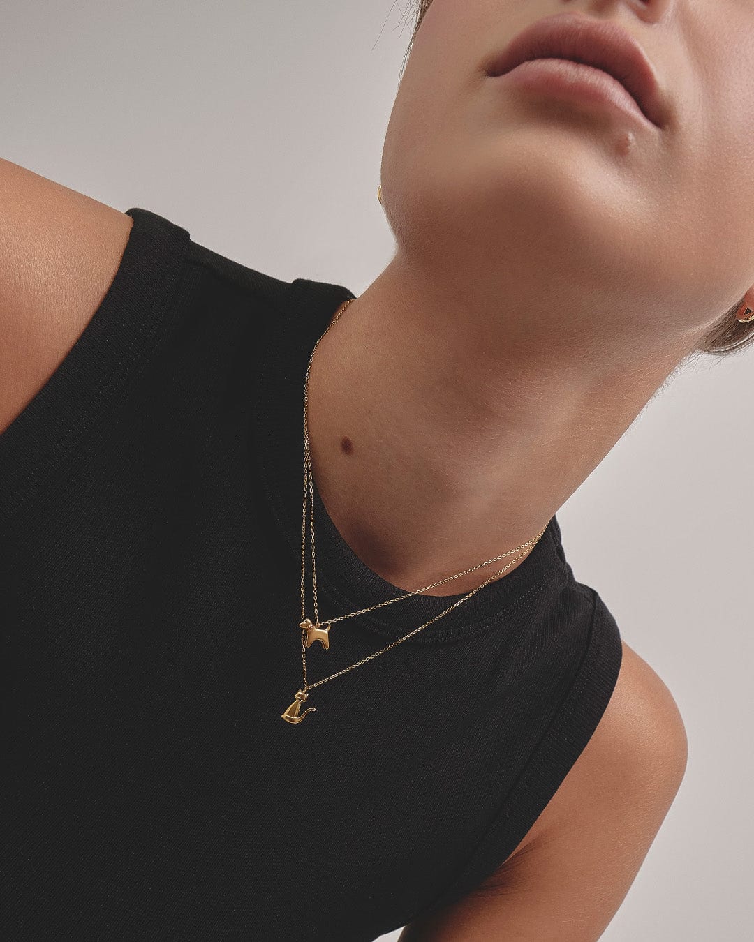 Collar Perro - imagen 7
