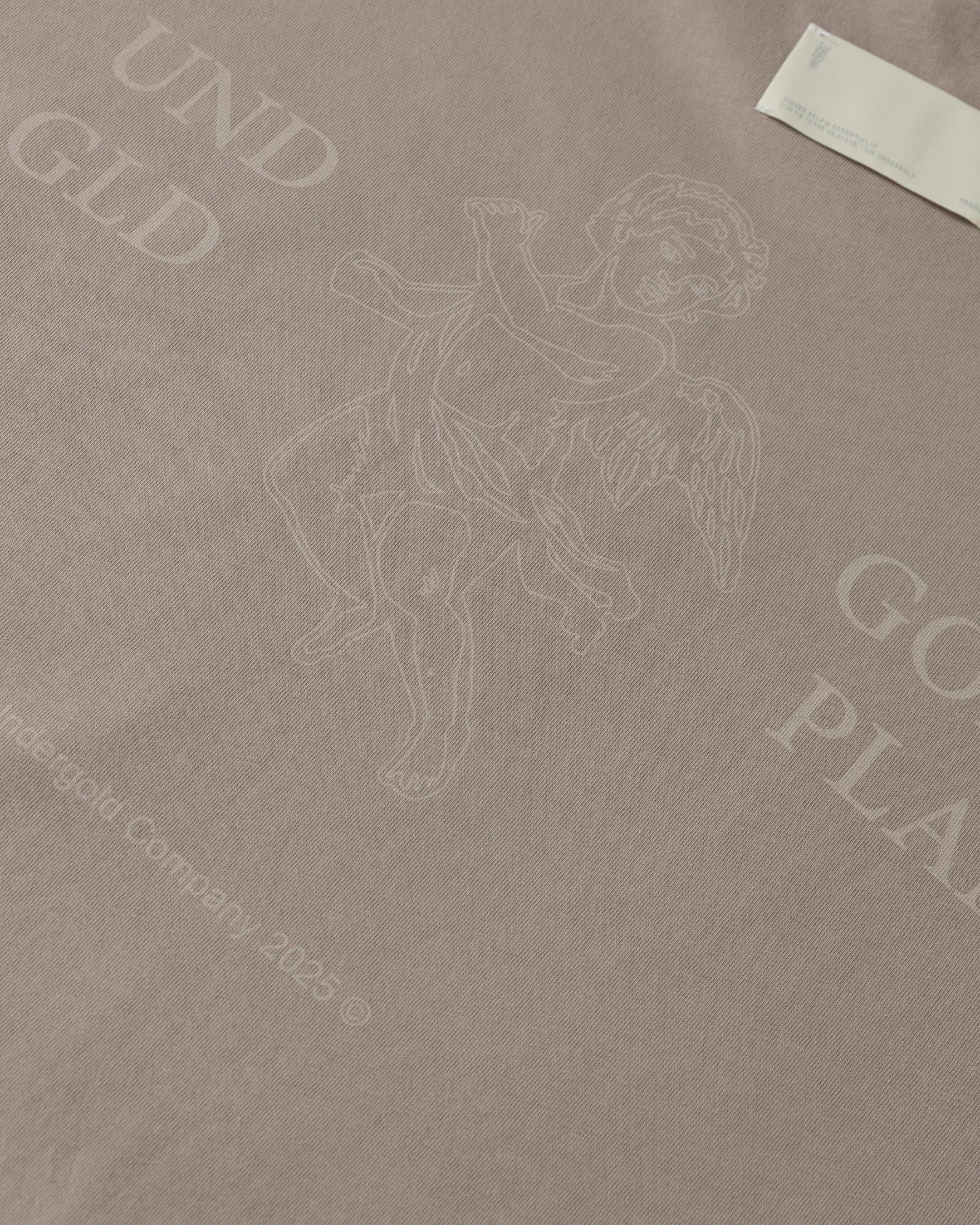 Echoes God's Plan Tshirt Light Brown - imagen 6