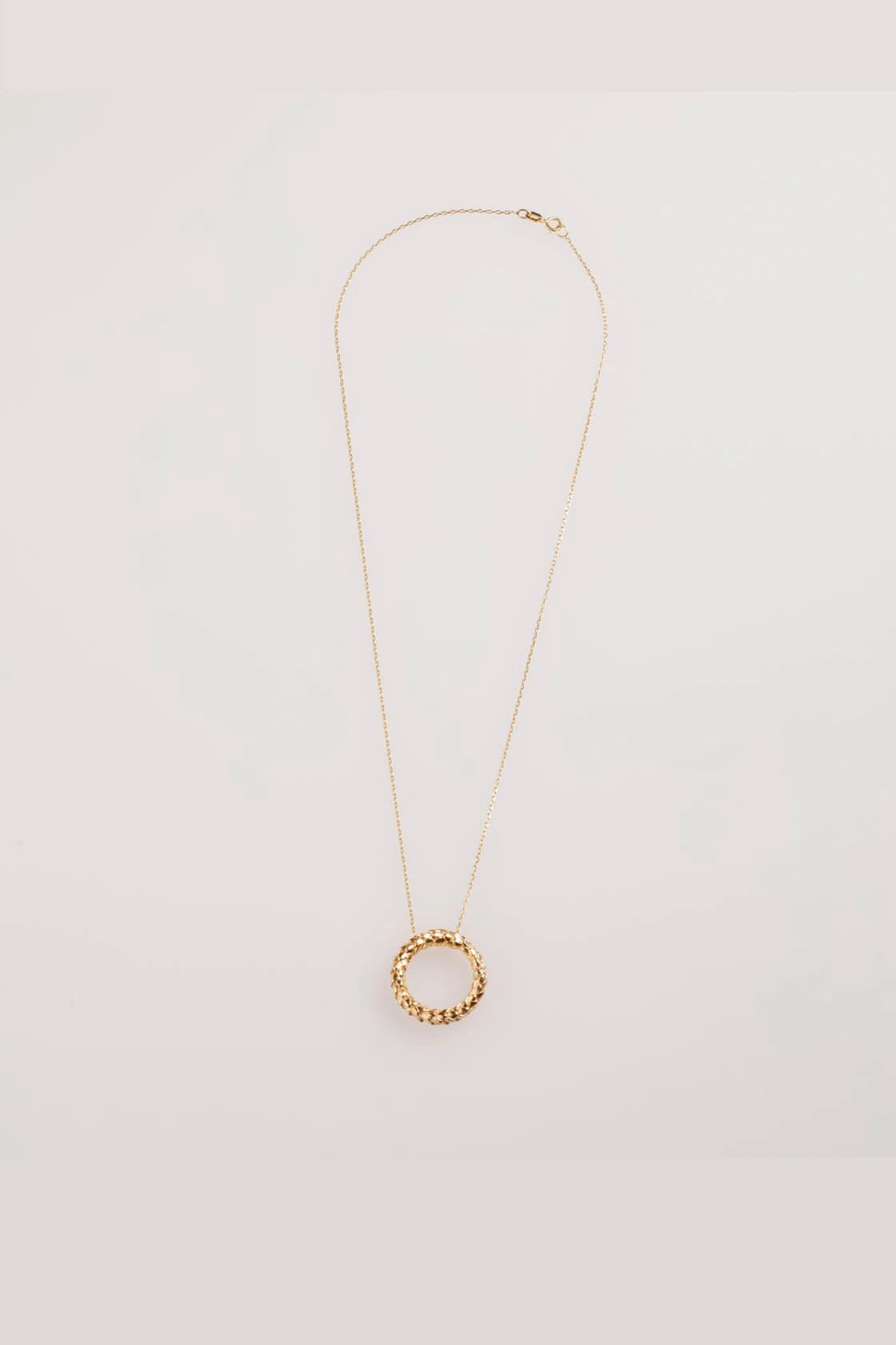 ARAUCARIA CIRCLE NECKLACE - imagen 1