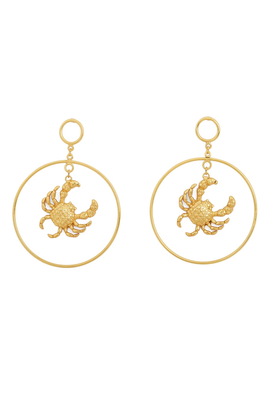 Mr Crab Maxi Hoops - imagen 1