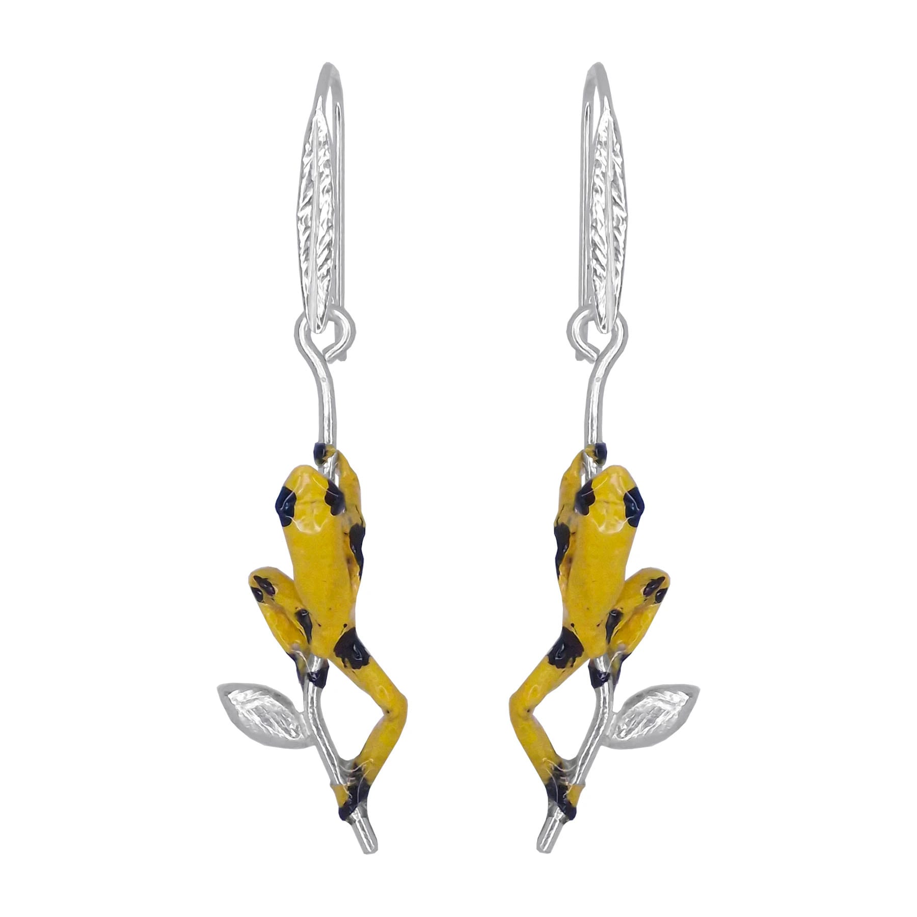 Arete rana - imagen 1