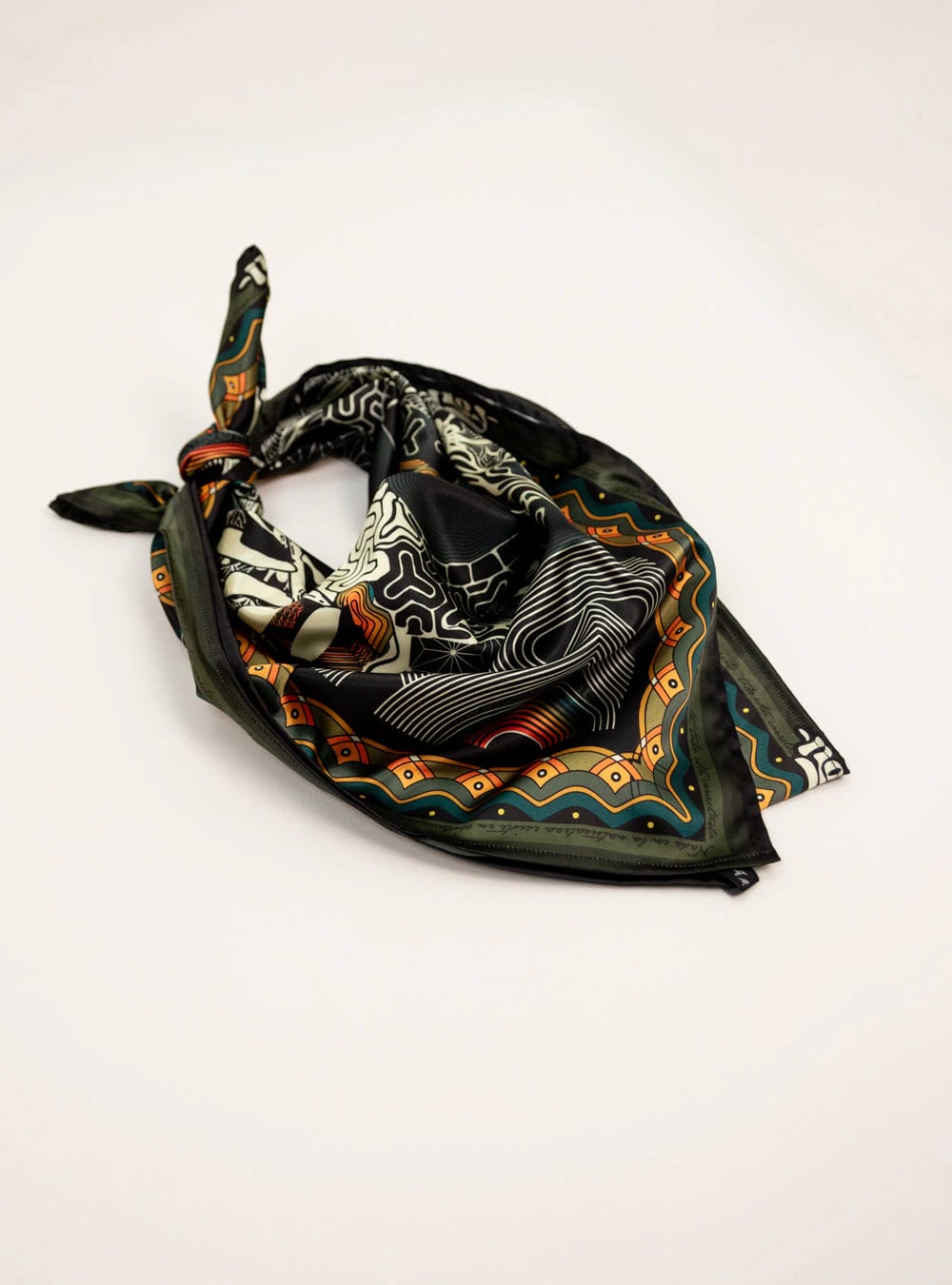 Pashmina Amapola Multicolor - imagen 4