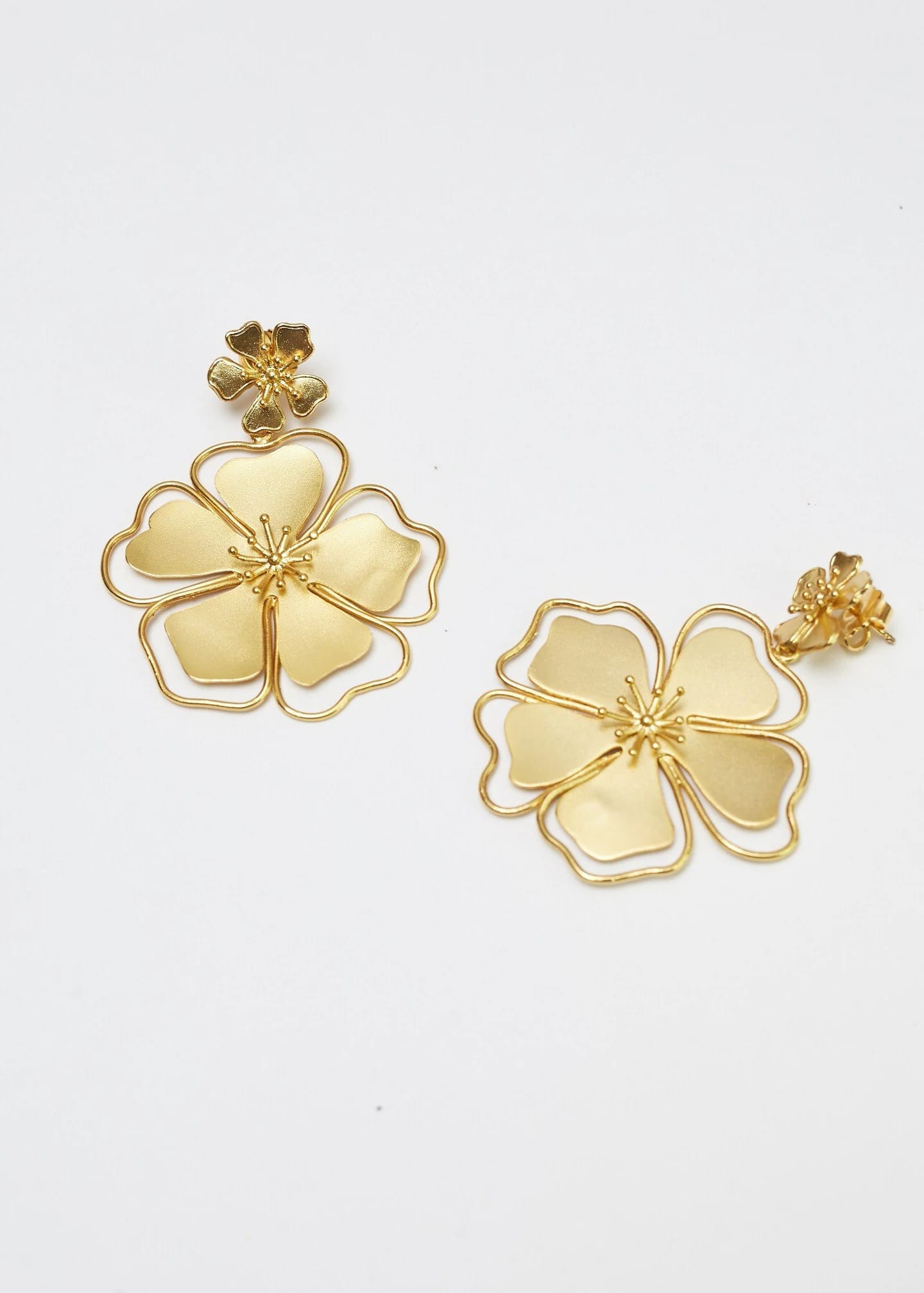 Aretes Andreae - imagen 2