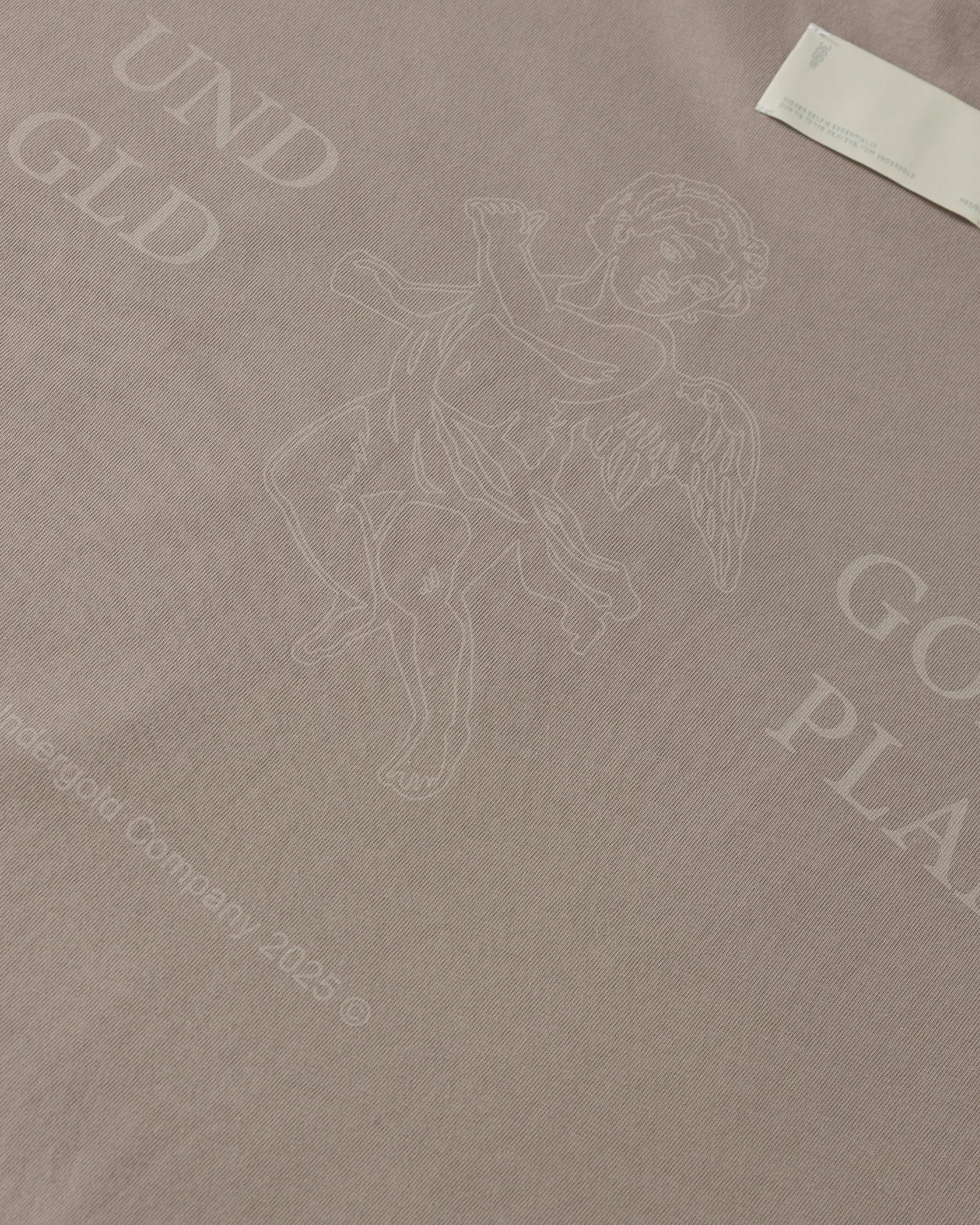 Echoes God's Plan Tshirt Light Brown - imagen 13