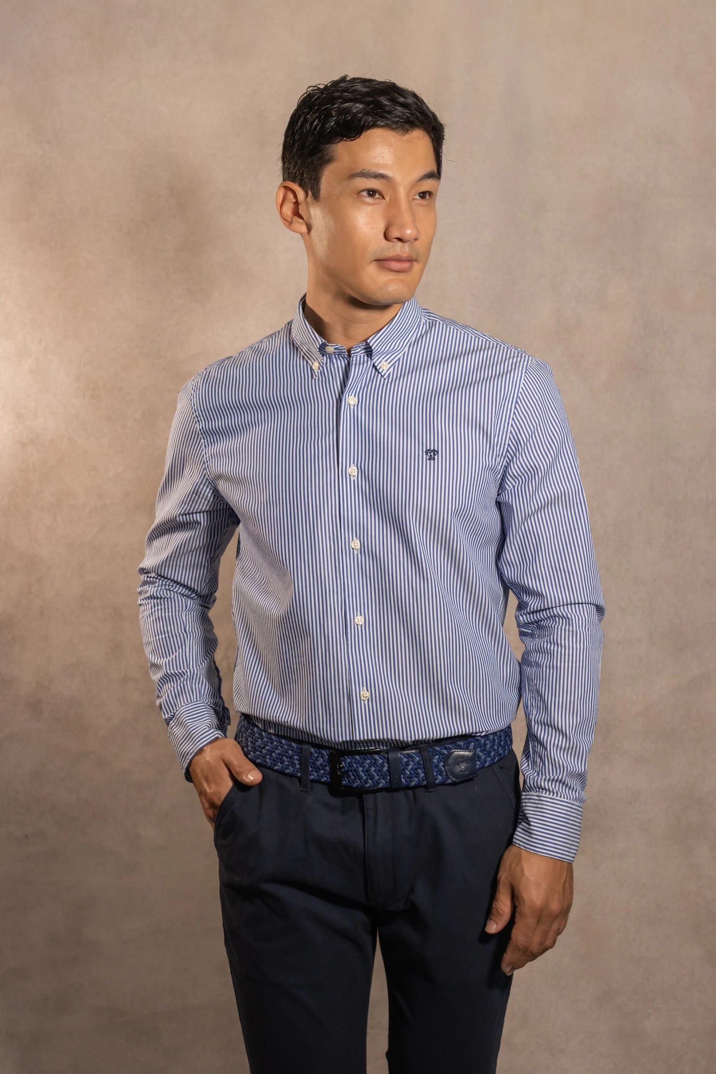 Camisa Antimanchas Popelina Rayas Azul Oscuro - imagen 1
