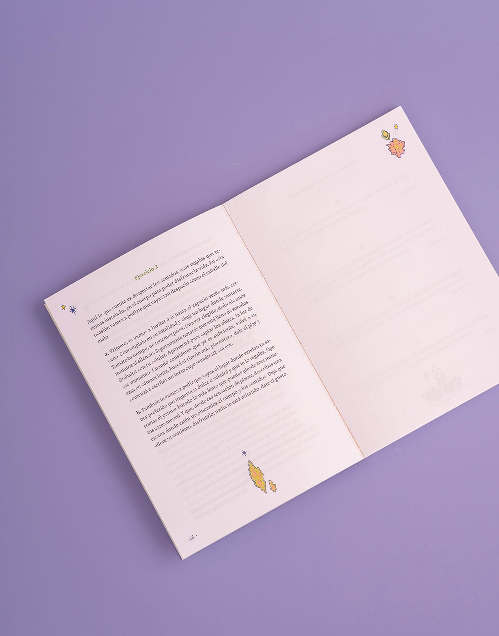 LIBRO ESCRIBIR EL CIELO - imagen 4