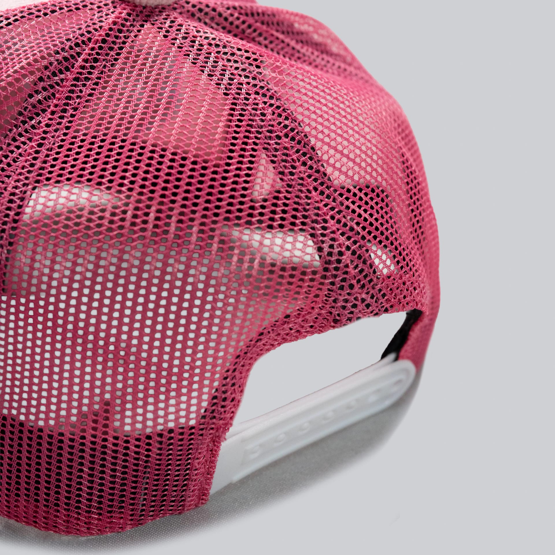 La camionera rosa - imagen 5