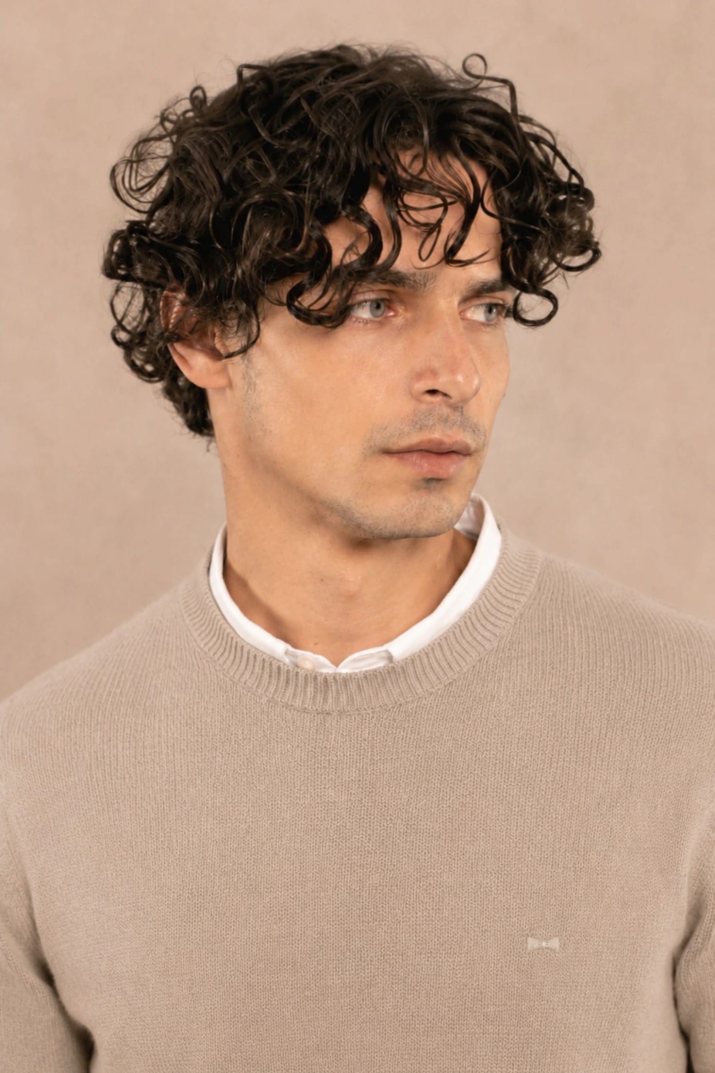 Sueter Algodon Peinado Cuello Redondo Arena - imagen 8
