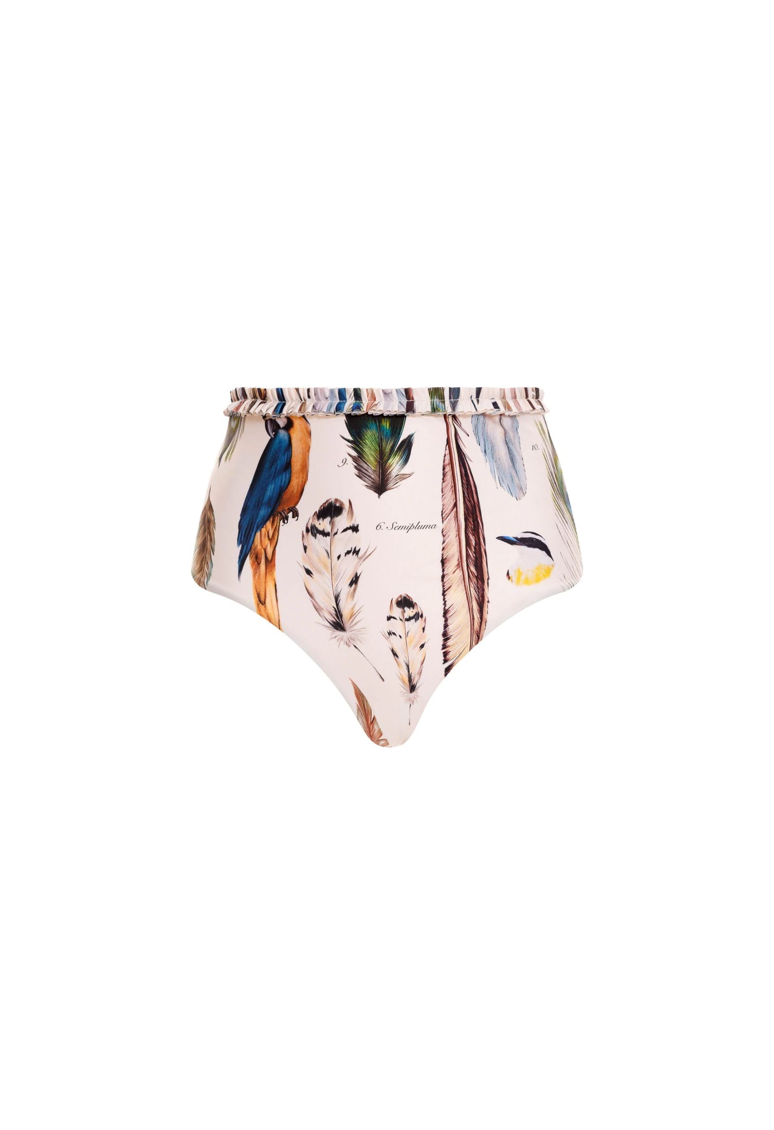 Nopal Pluma Bikini Bottom - imagen 4